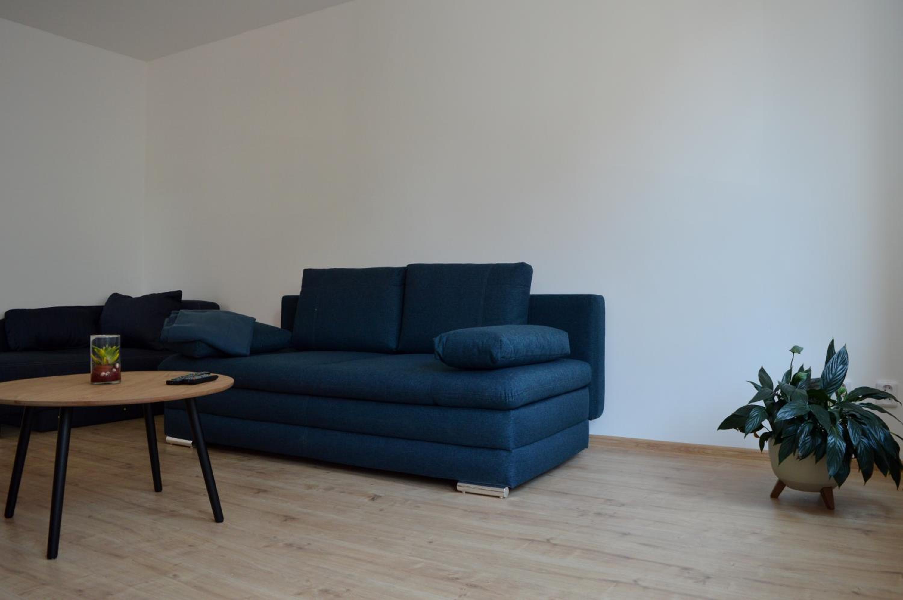 One-Bedroom Apartment photo 3