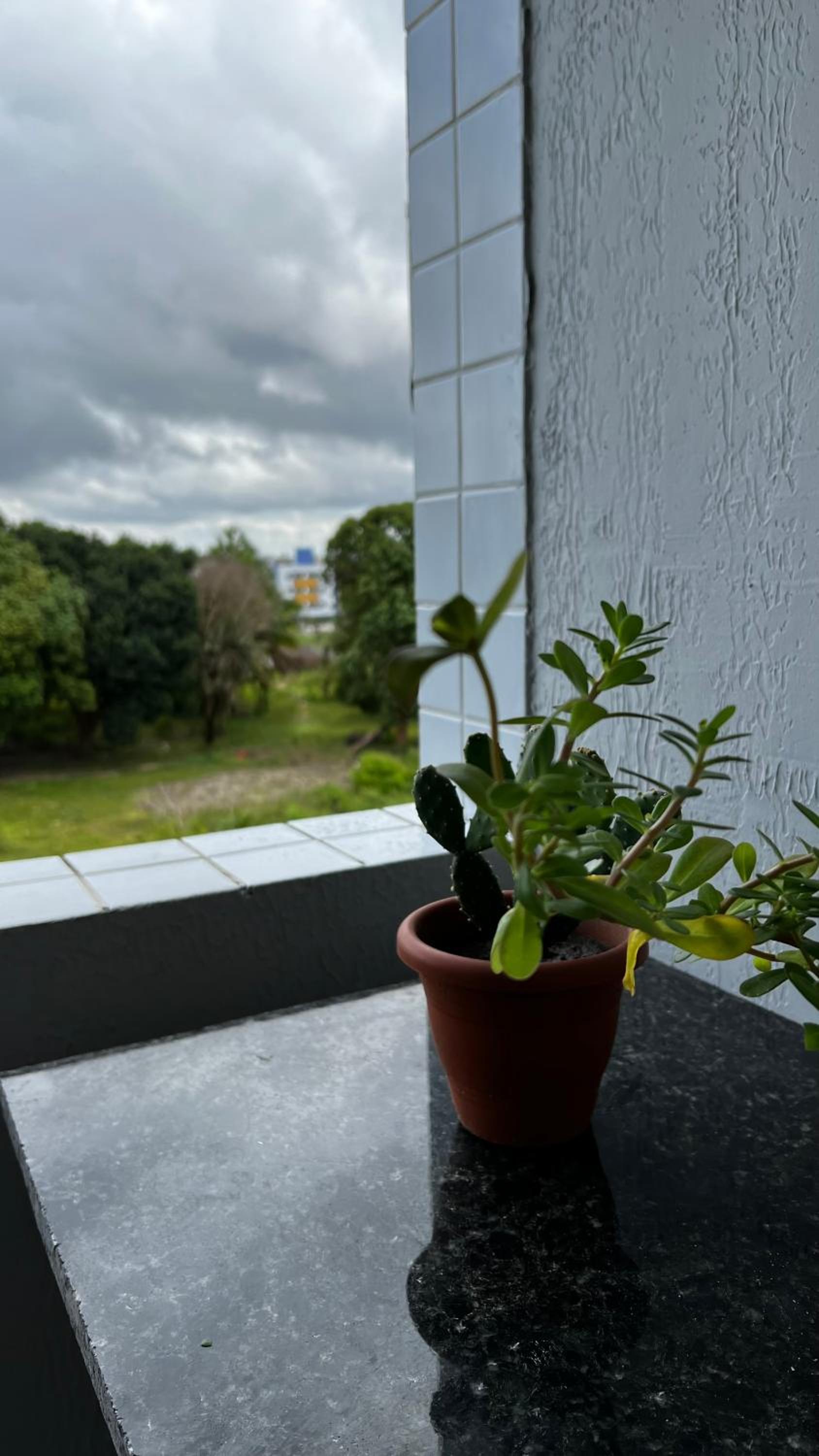 Apartment with Balcony - Photo 9