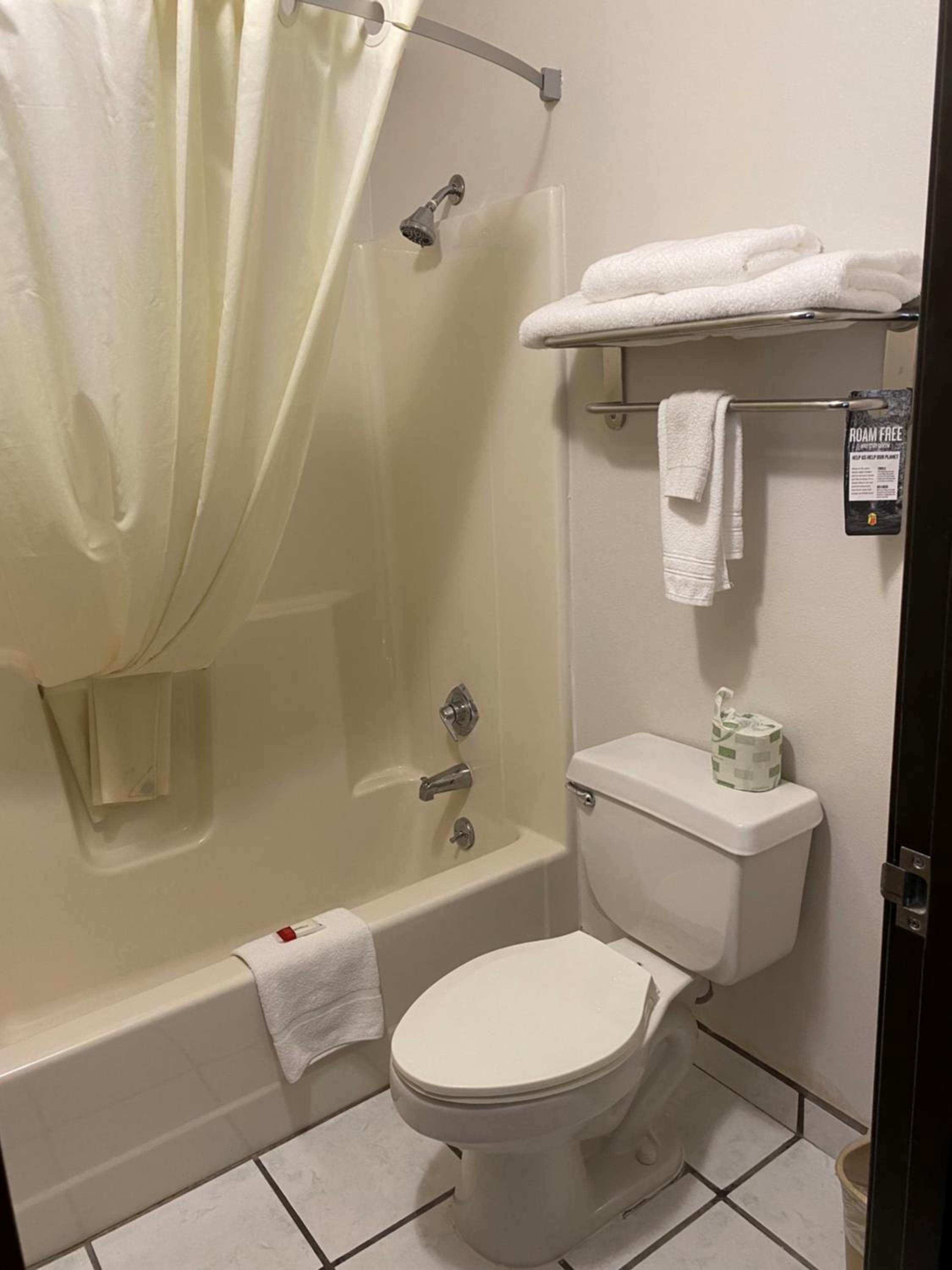 King Suite - Non-Smoking - Photo 8
