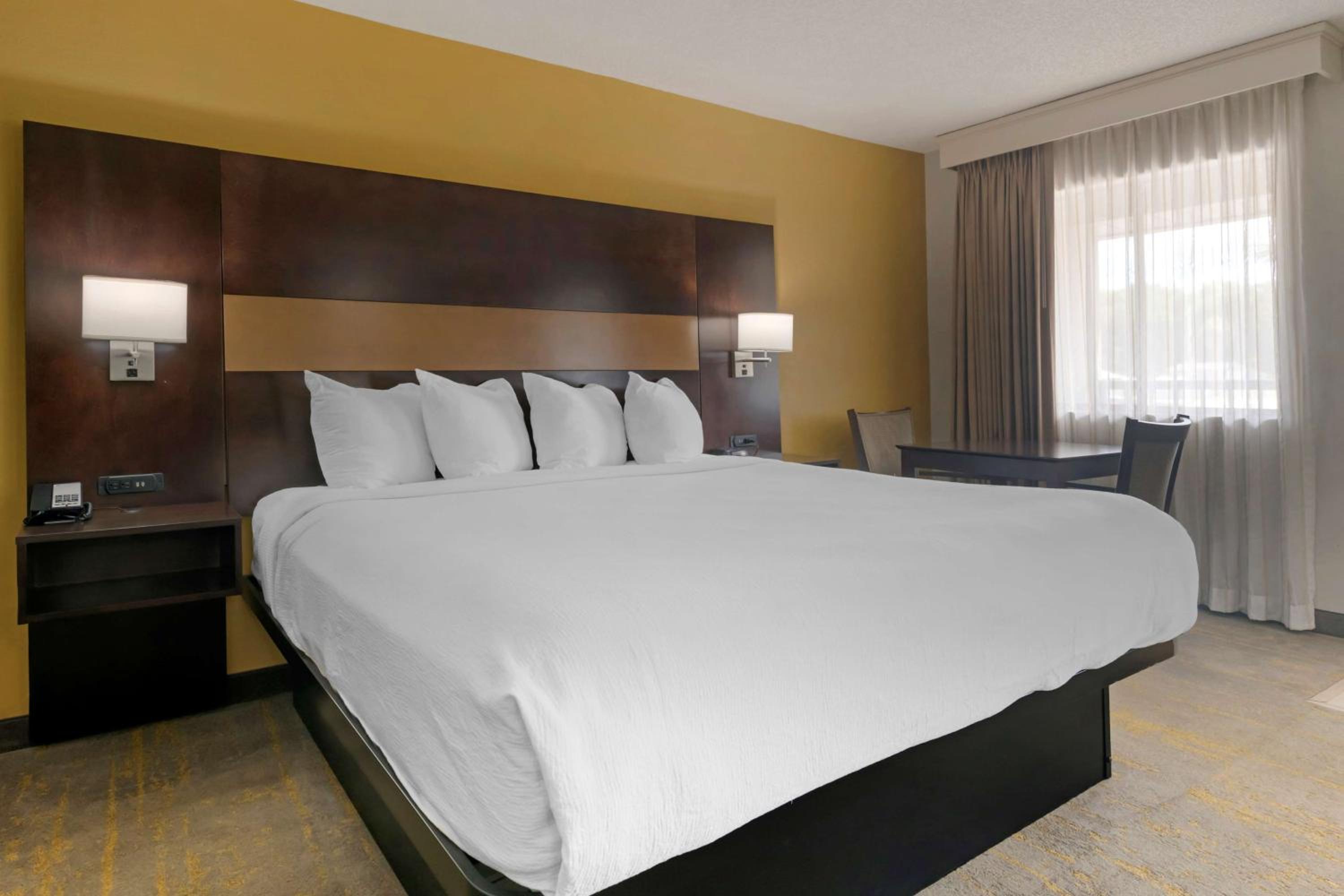King Suite with Sofa Bed - Non-Smoking photo 1