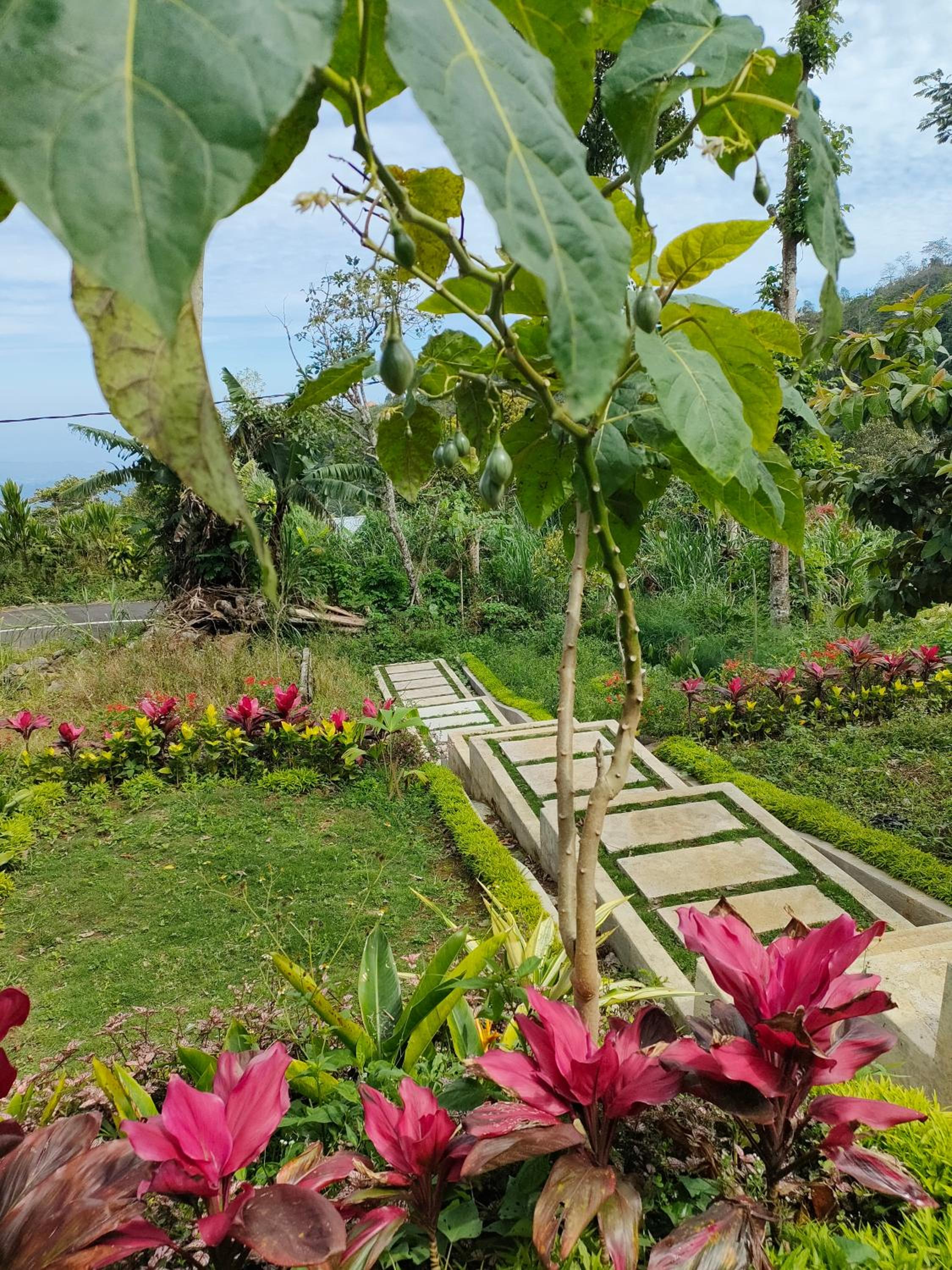 Double Room with Garden View - Photo 14