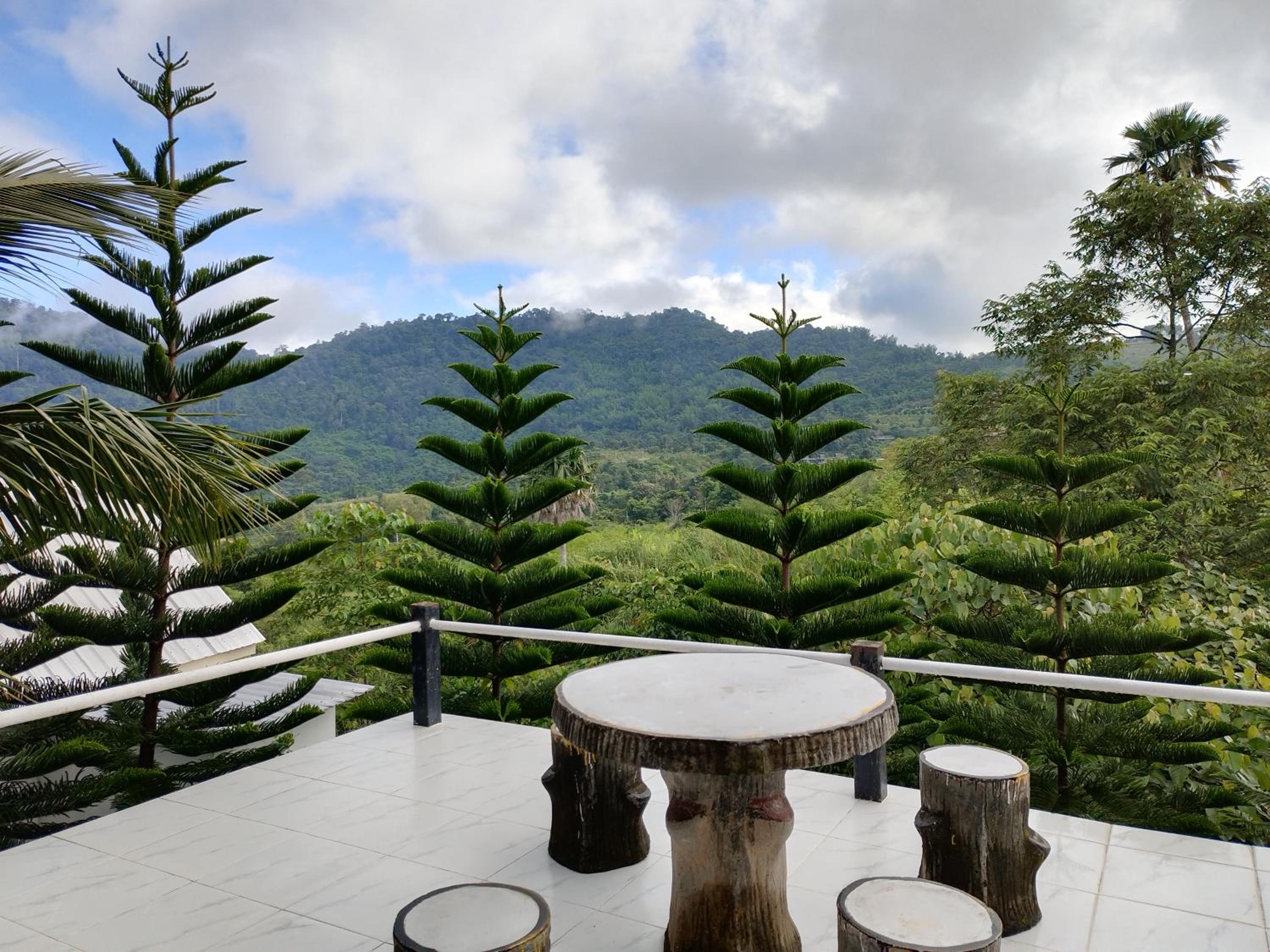 Double Room with Terrace photo 3