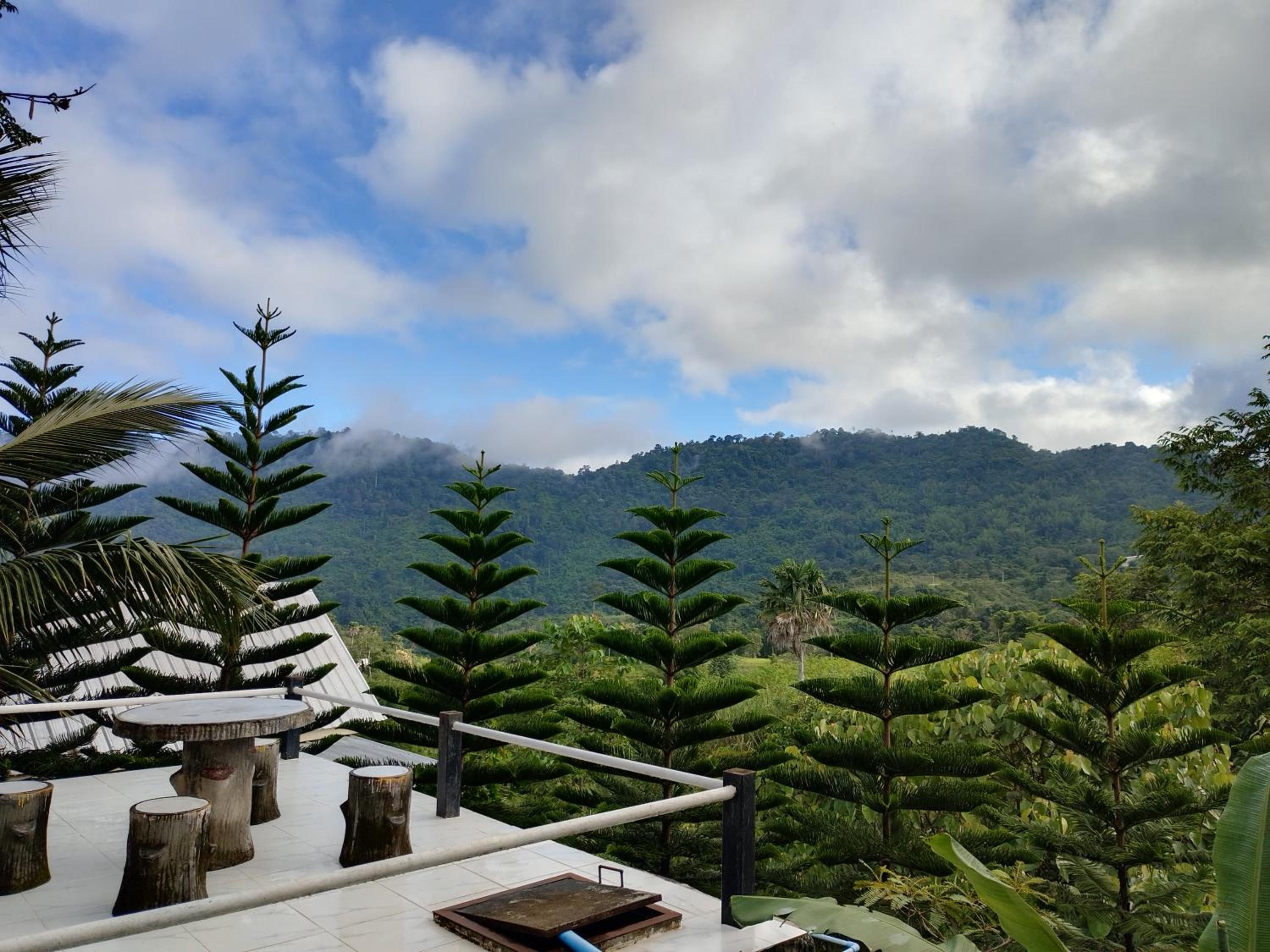 Double Room with Terrace photo 2