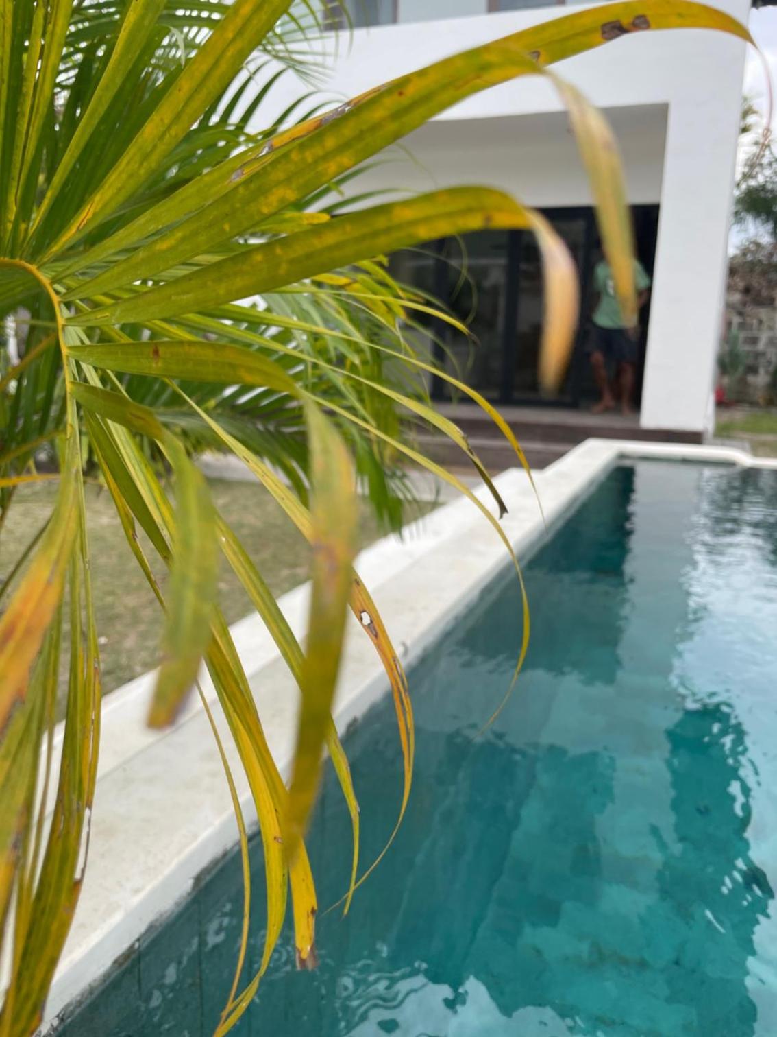 Villa - Photo 10