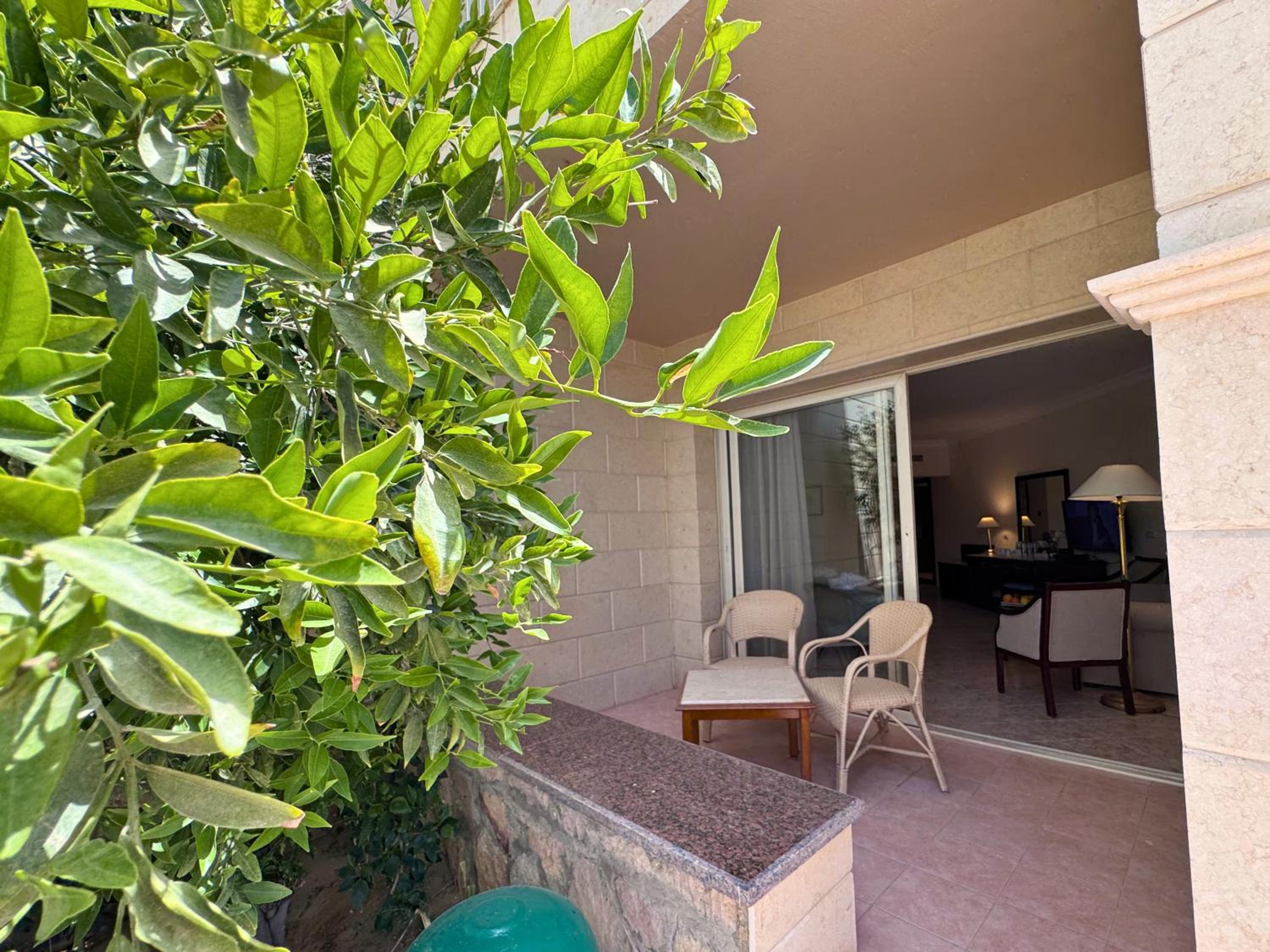 Accessible Room photo 2
