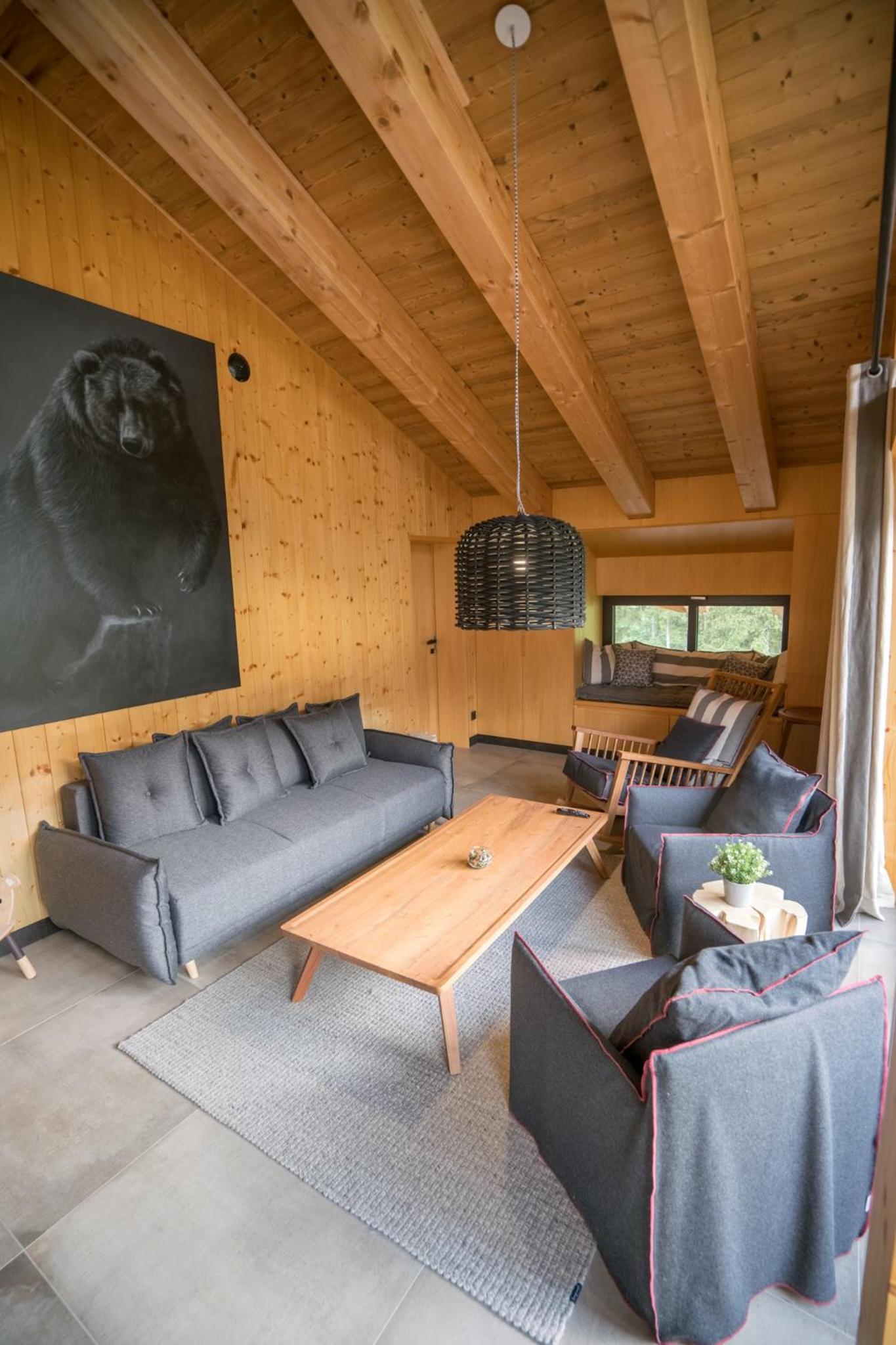 Superior Apartment with Sauna photo 3