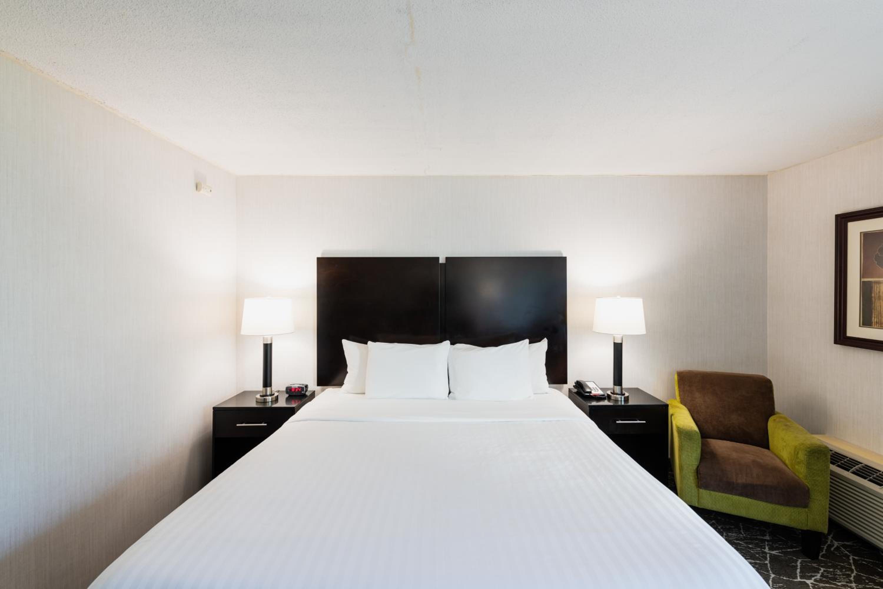 King Room photo 1