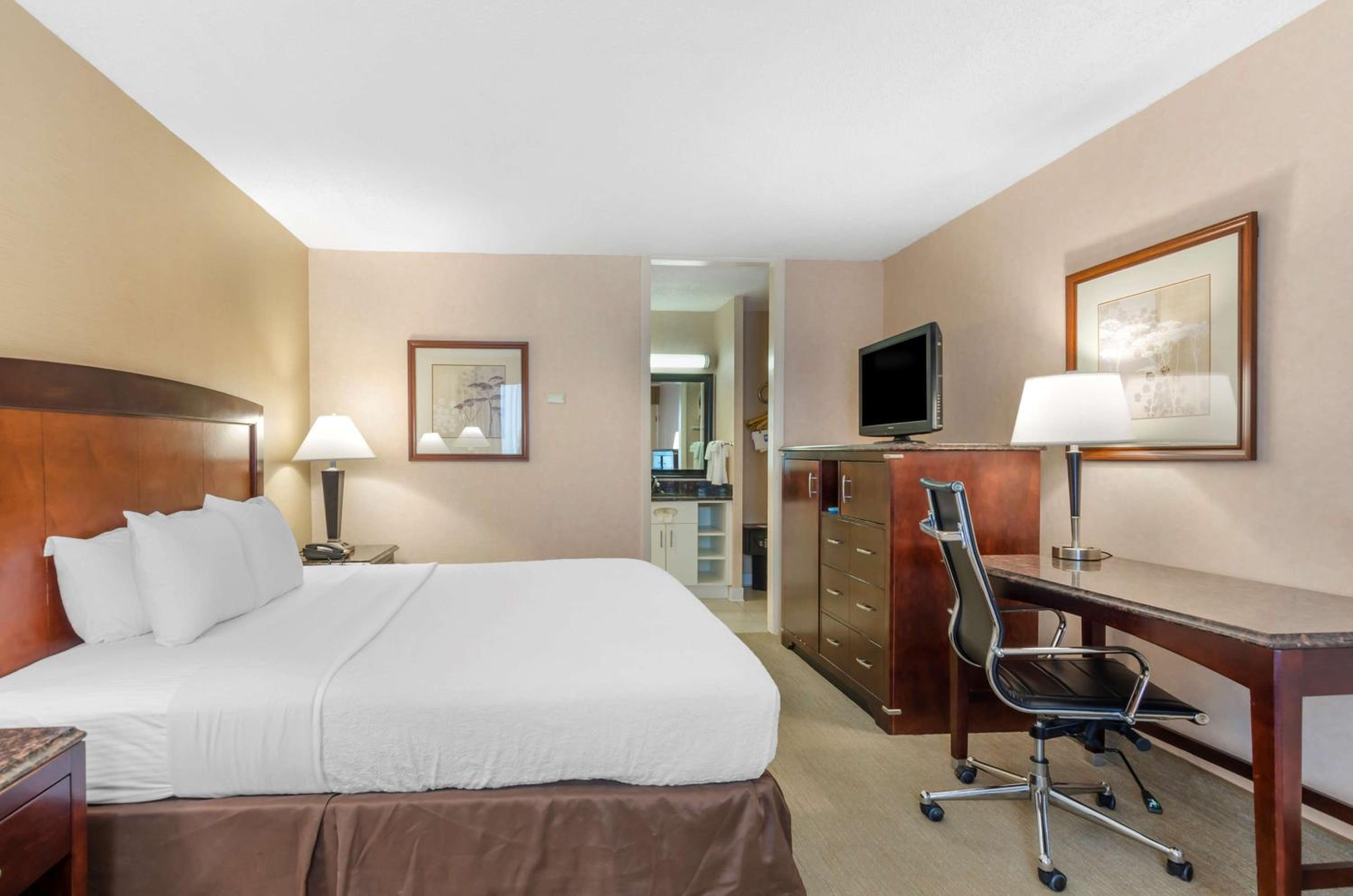 King Room - Non-Smoking - Photo 3