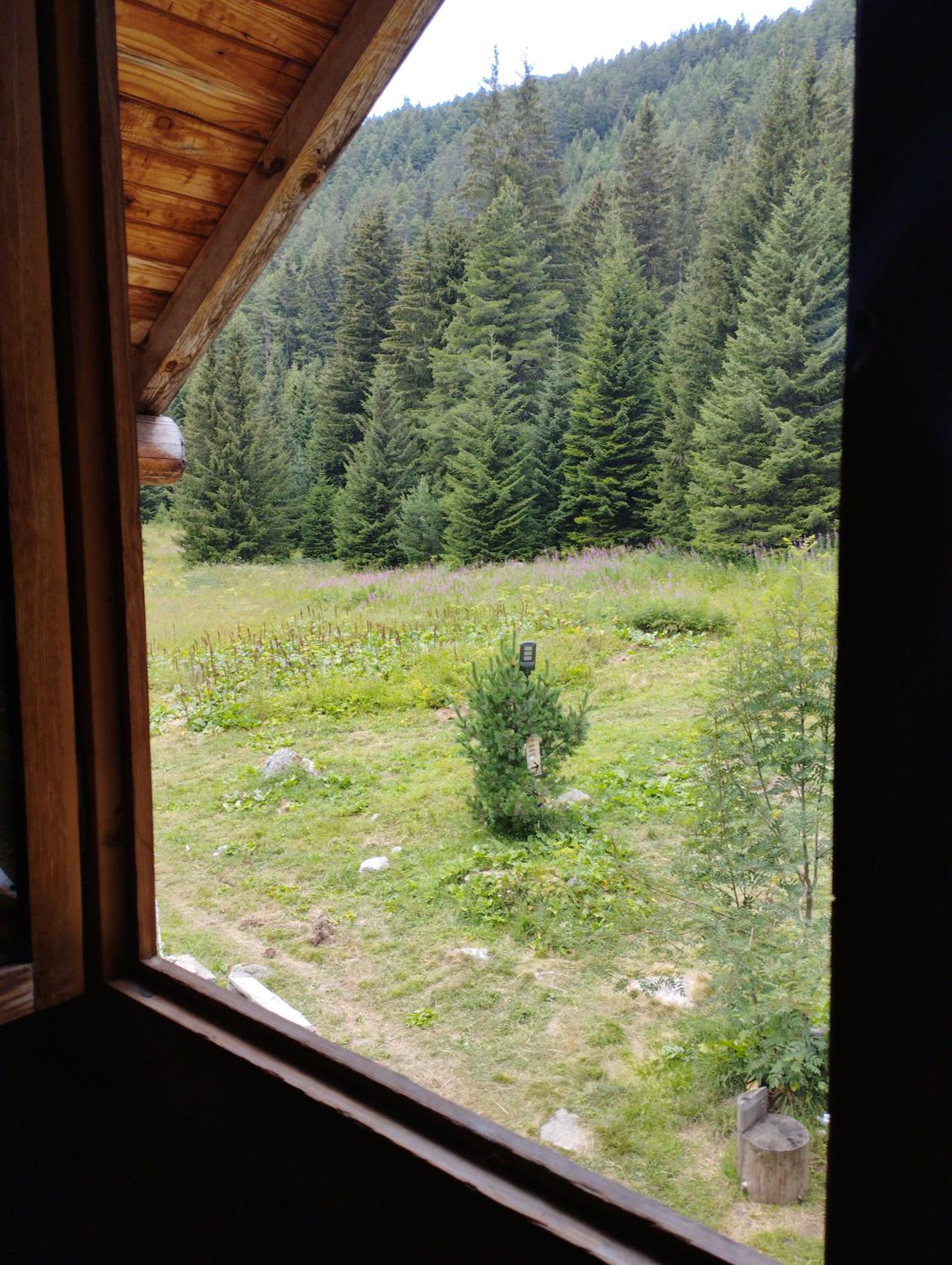 Chalet photo 3