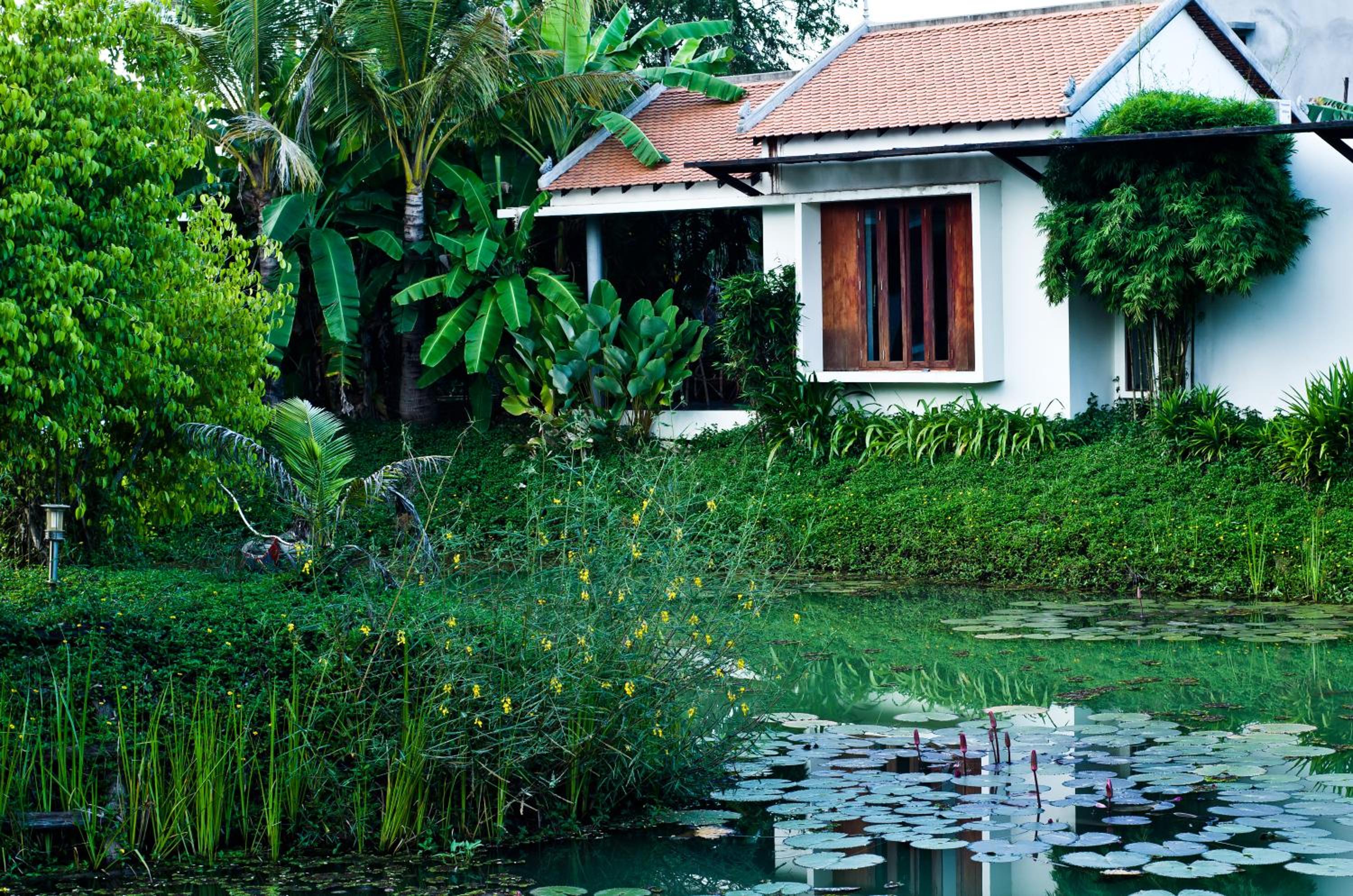 King Room with Lake View