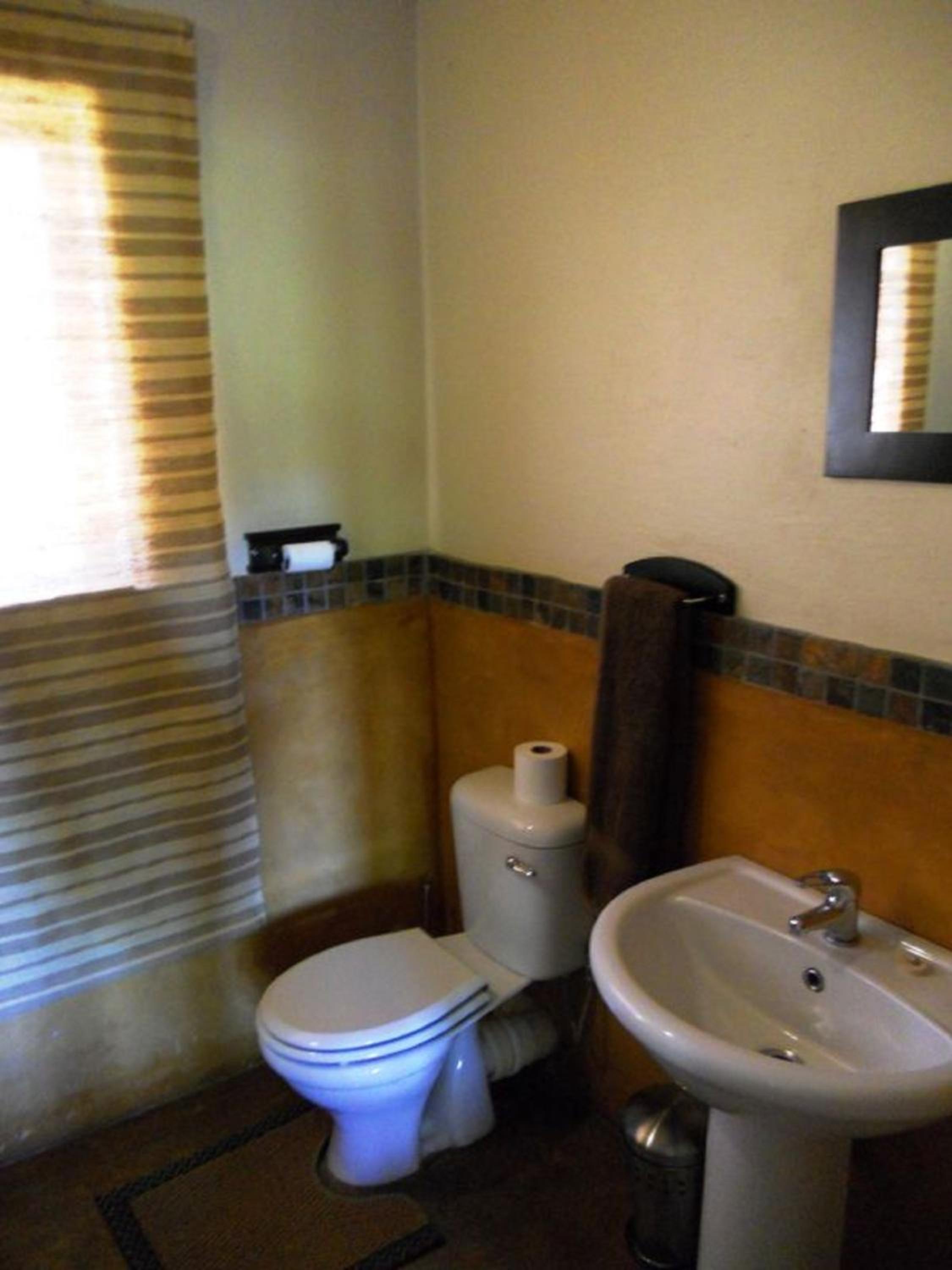 Suite - Photo 5