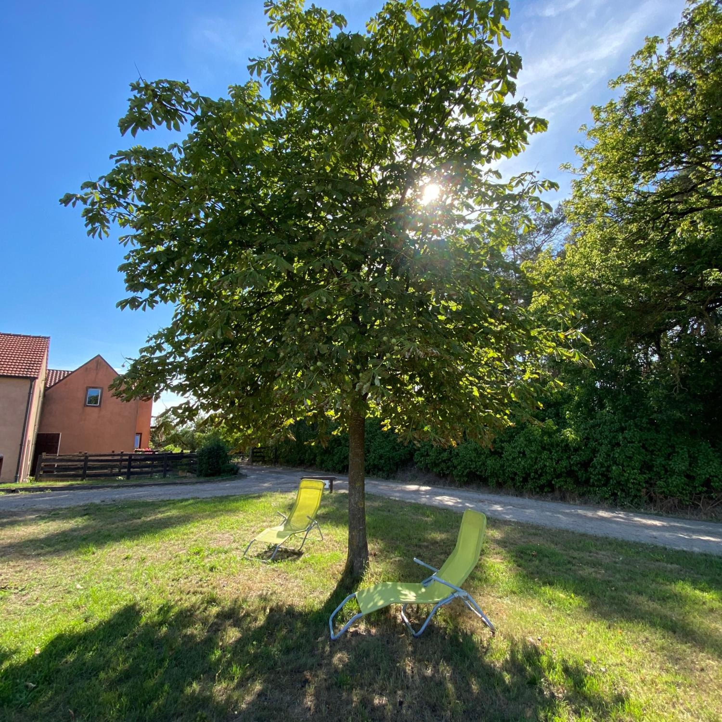 Apartment with Garden View - Photo 19