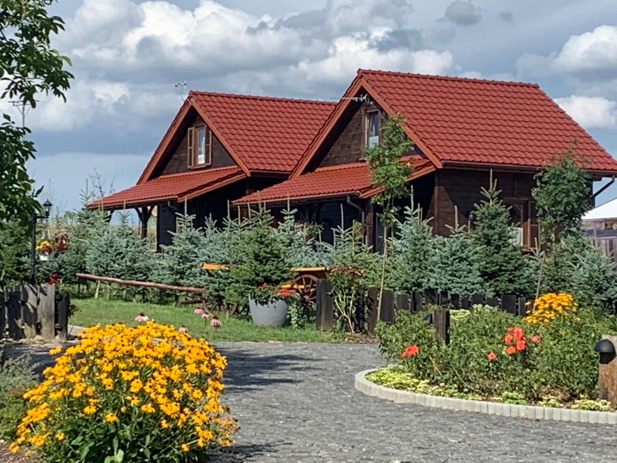 Holiday Home photo 1