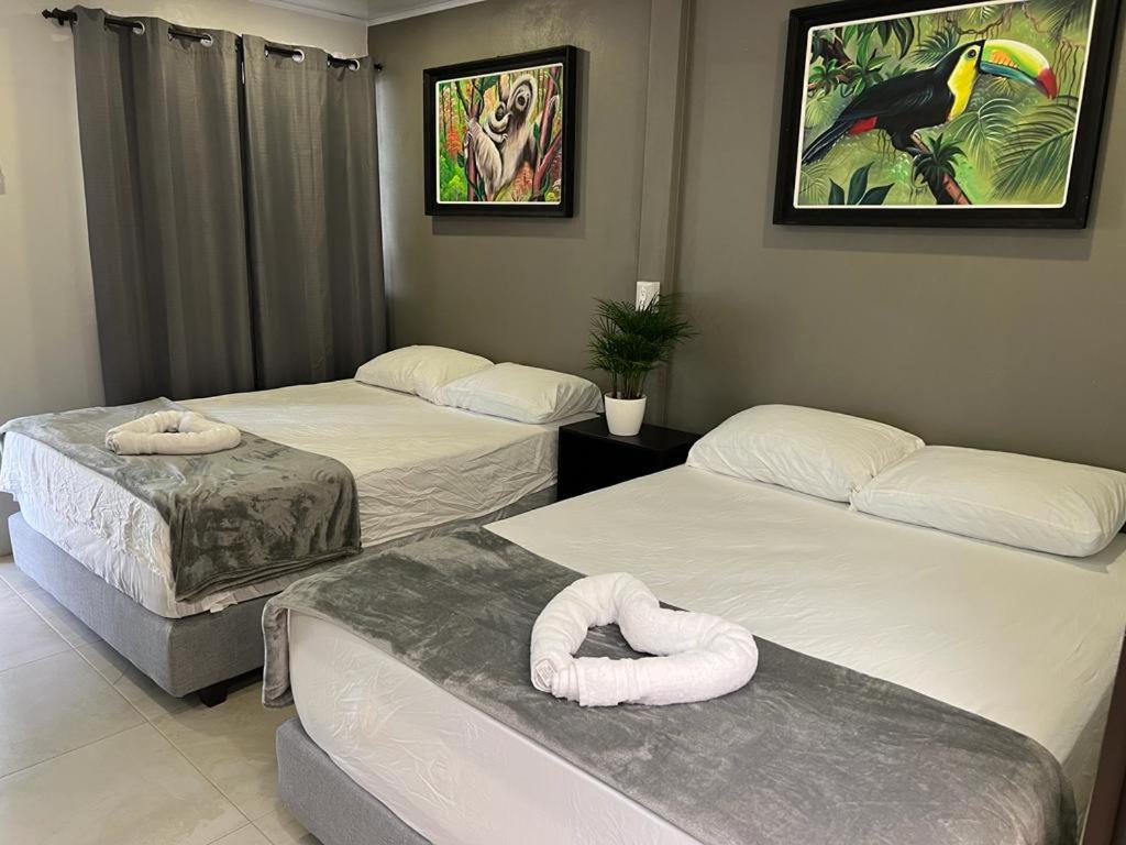 Comfort Quadruple Room