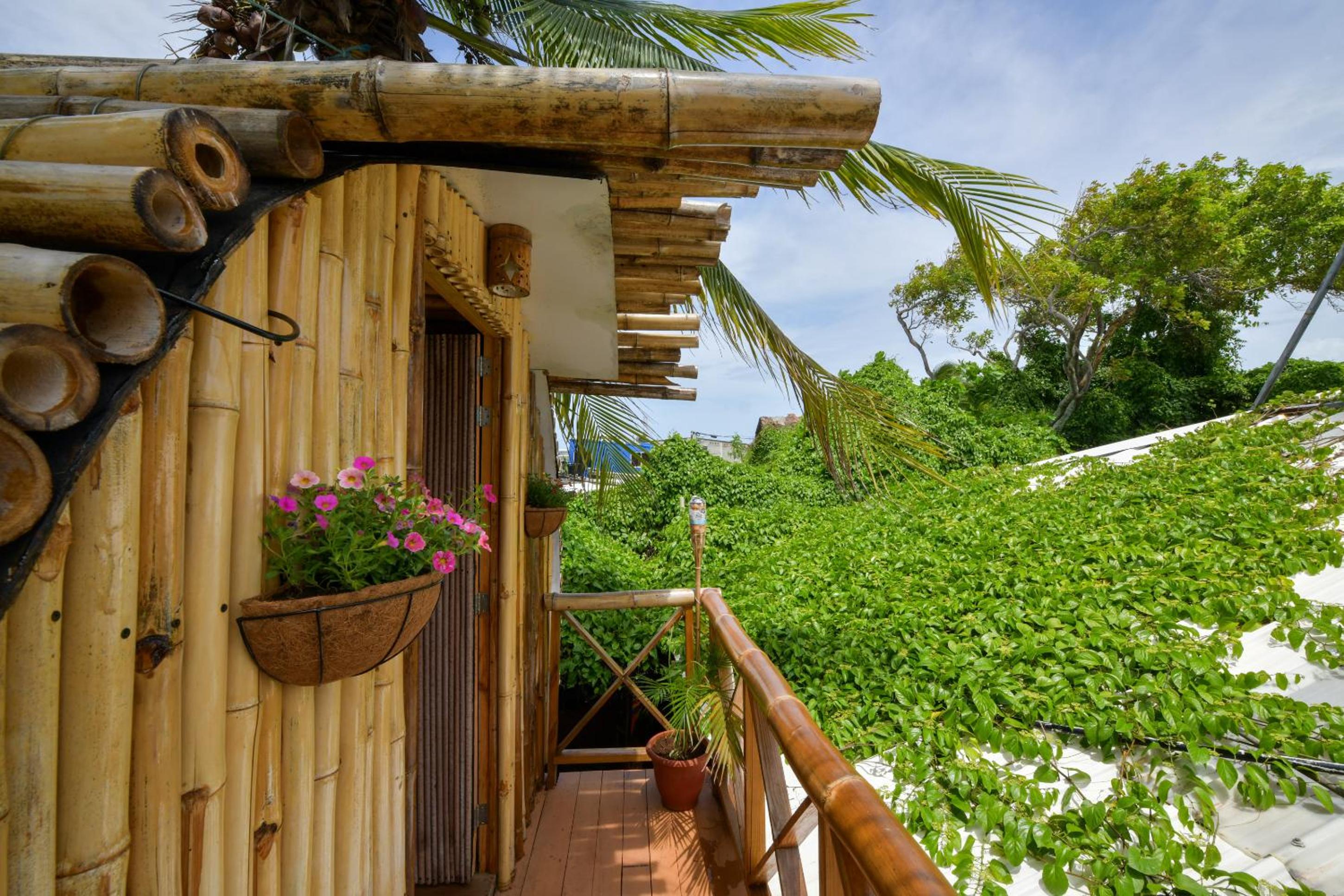 Double Room with Terrace photo 3