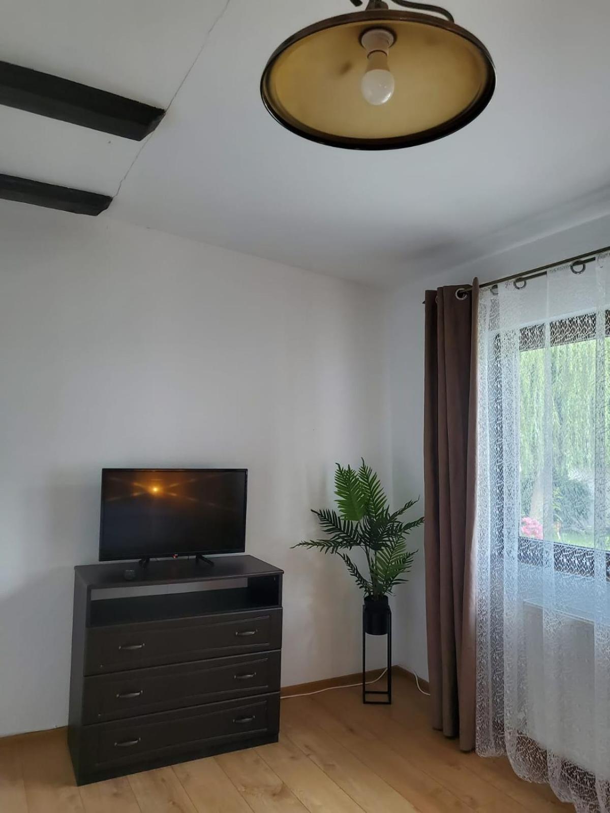 Studio with Garden View - Photo 2