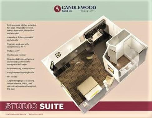 Studio Suite - Photo 3