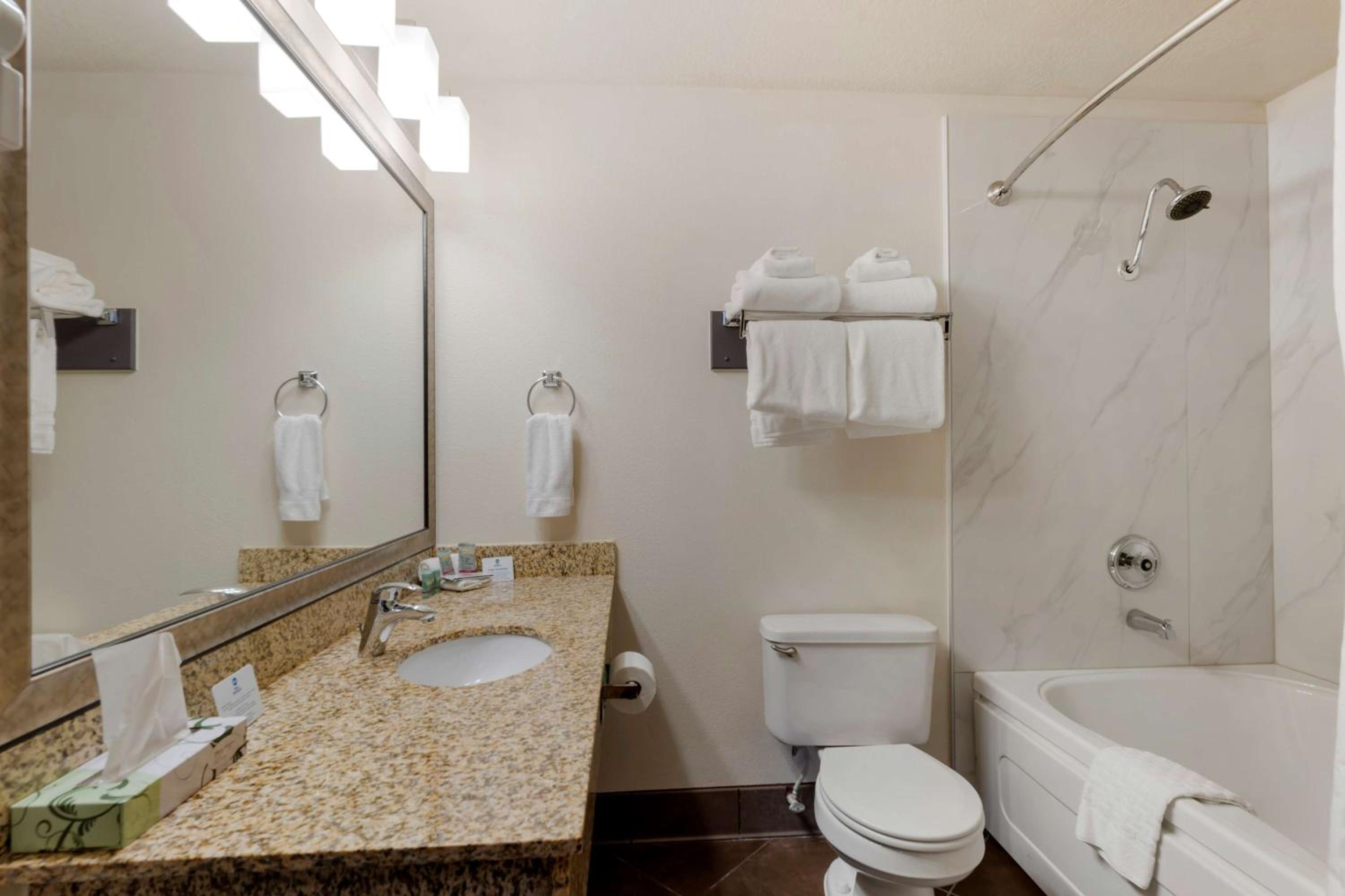 Queen Room with Roll-In Shower - Mobility Accessible/Non-Smoking - Photo 4