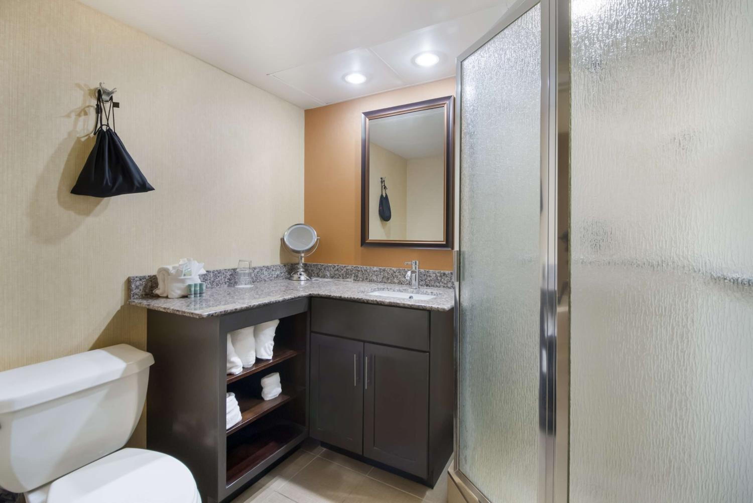 King Suite with Hot Tub - Non-Smoking - Photo 4