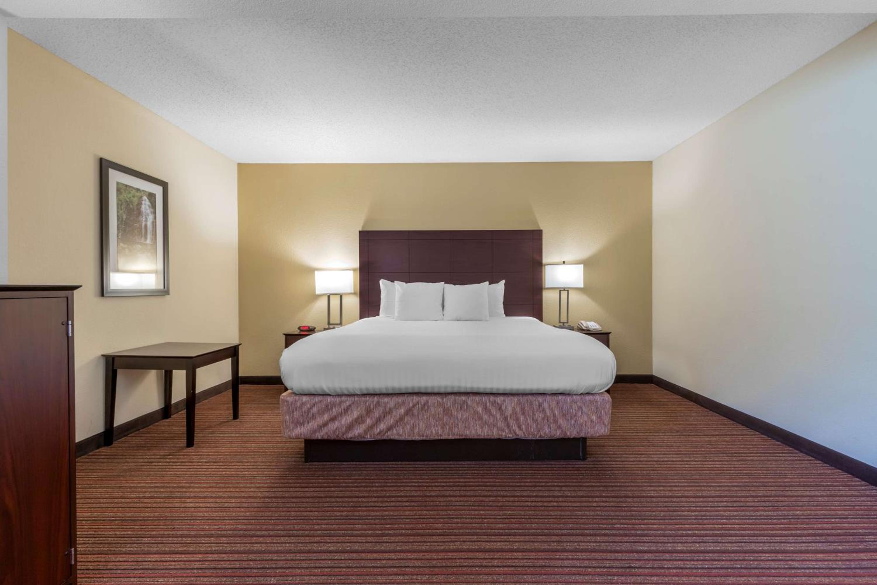 King Suite photo 1