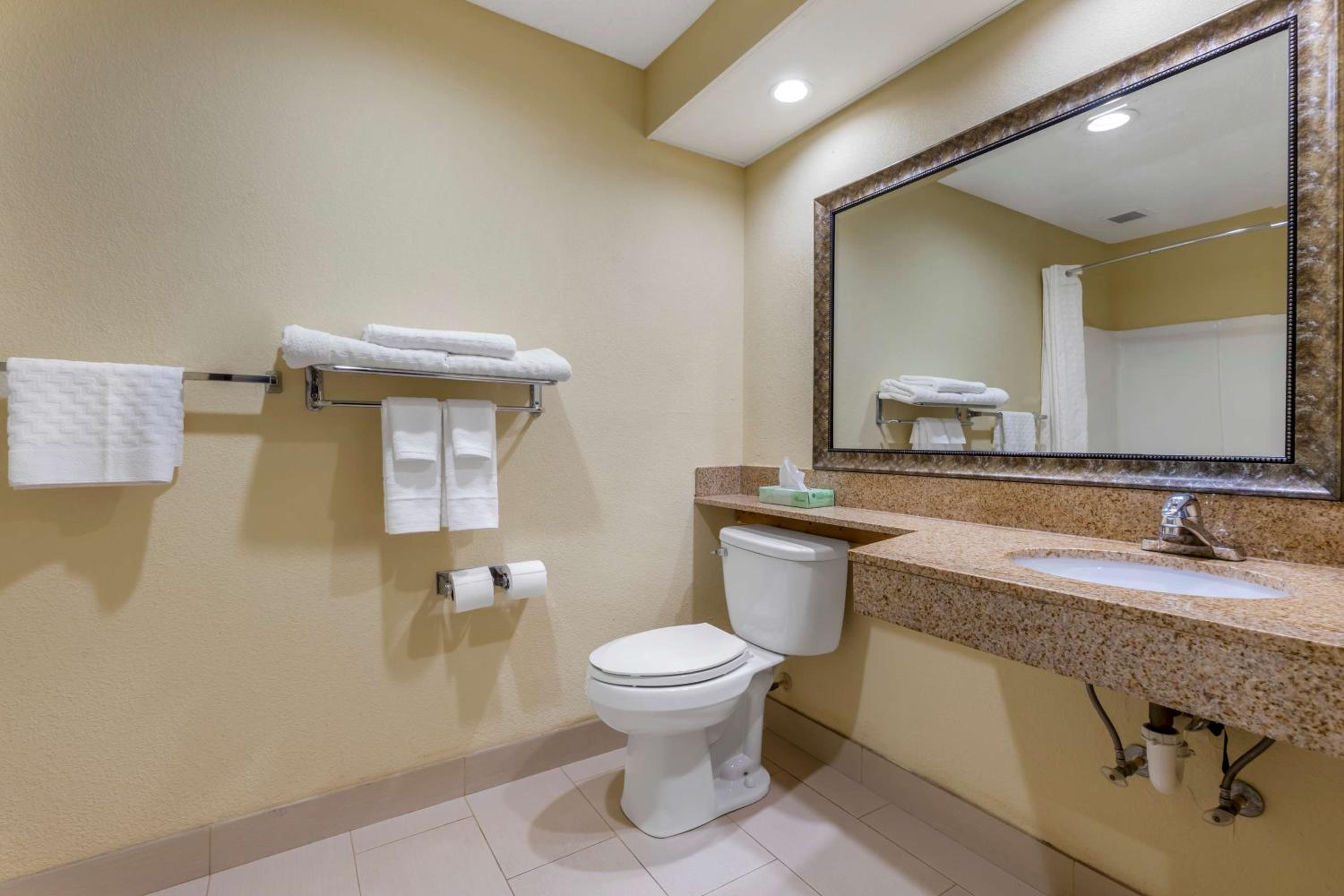 King Room with Roll-in Shower - Disability Access/Non-Smoking photo 3