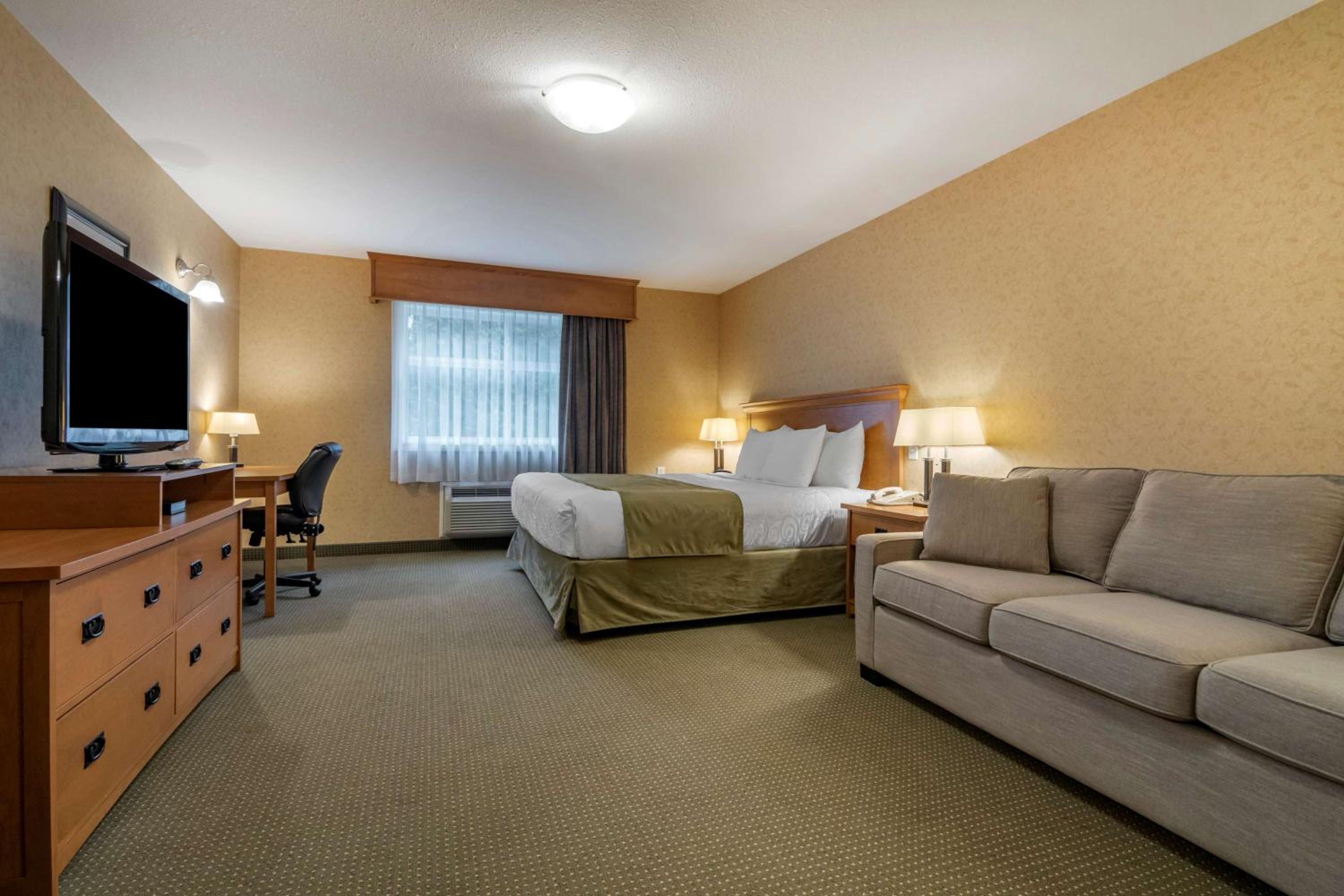 King Room with Mobility Accessible Roll-In Shower and Sofa Bed photo 1