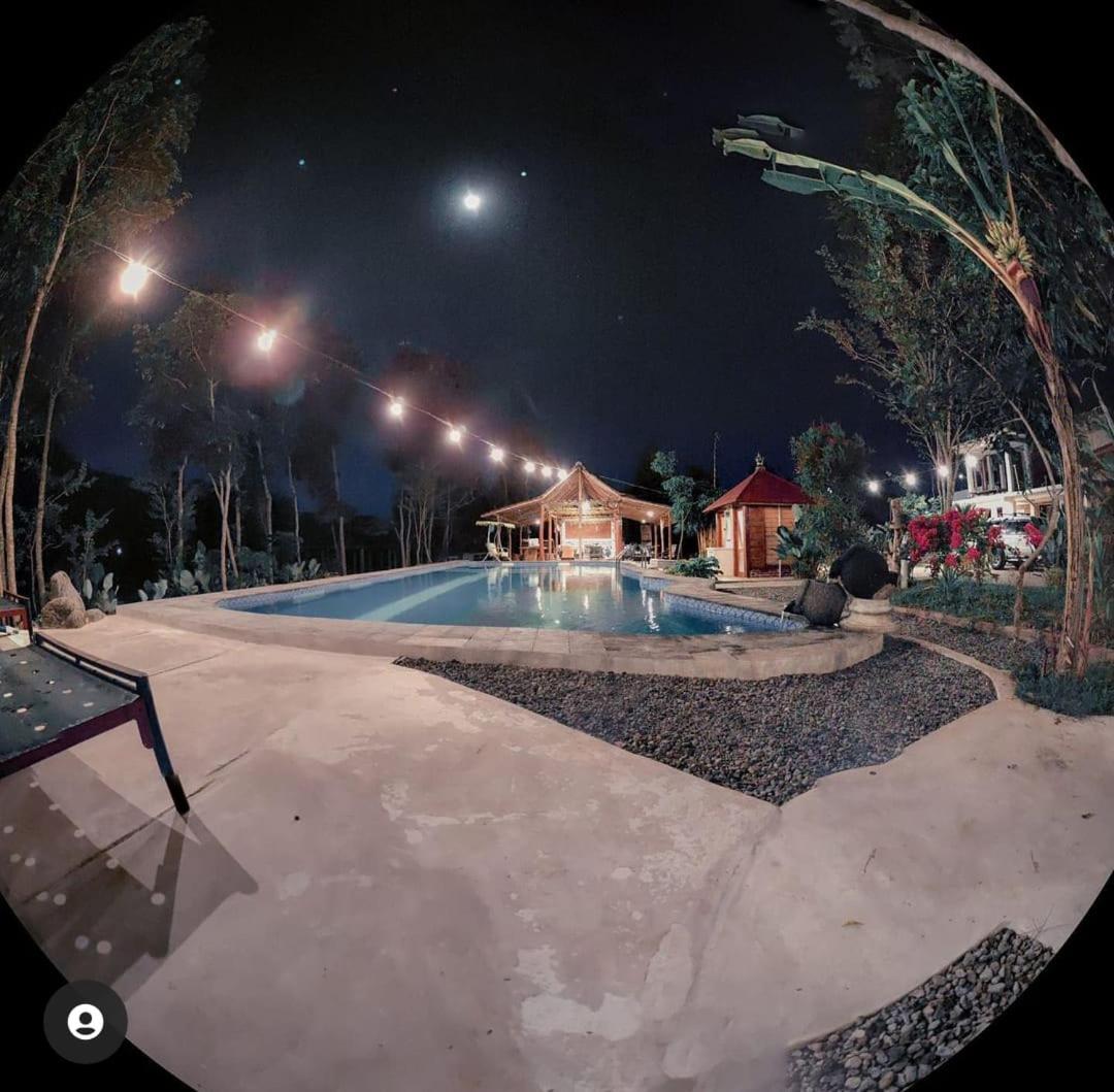 Villa - Photo 15