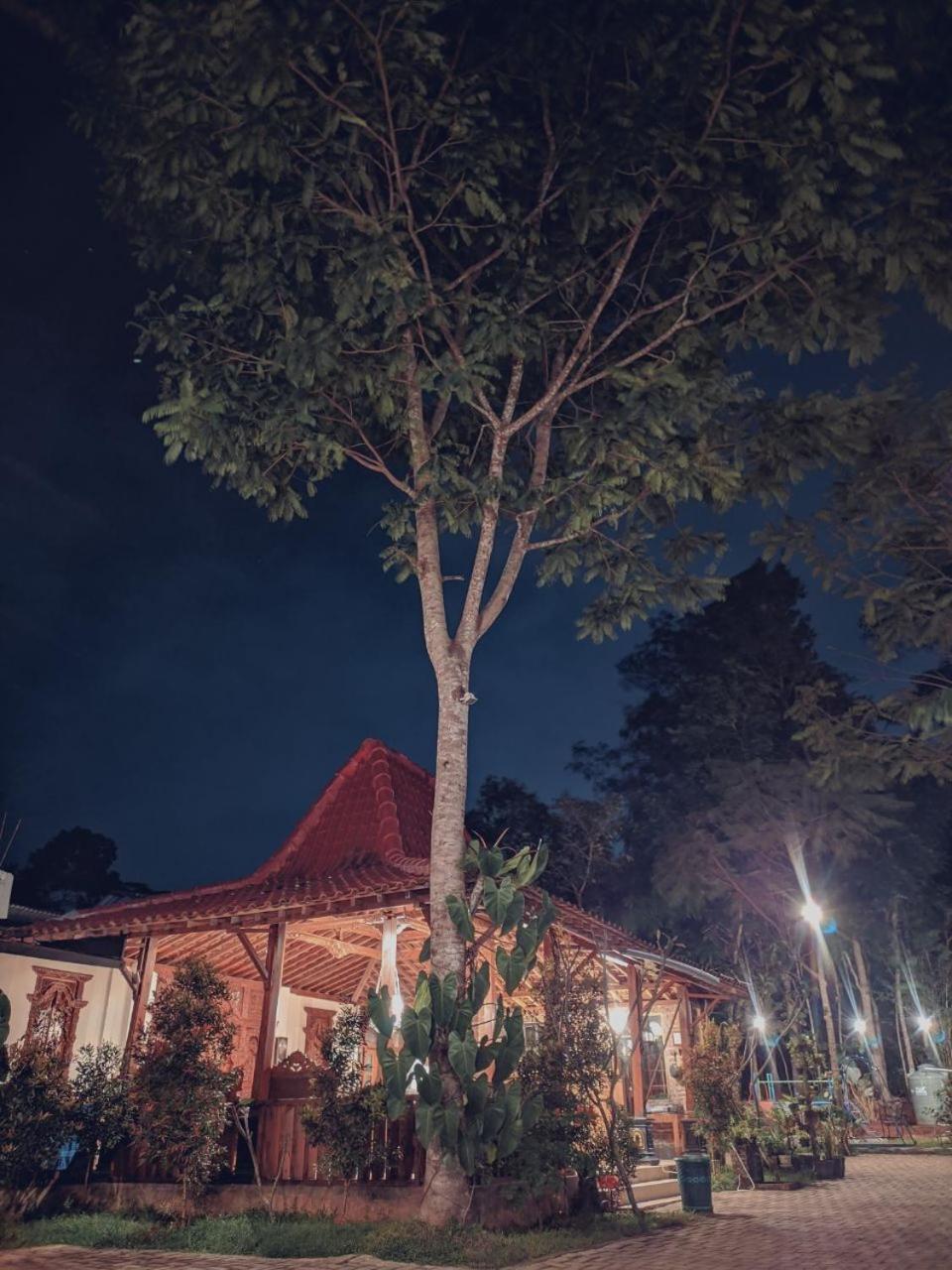 Villa - Photo 2
