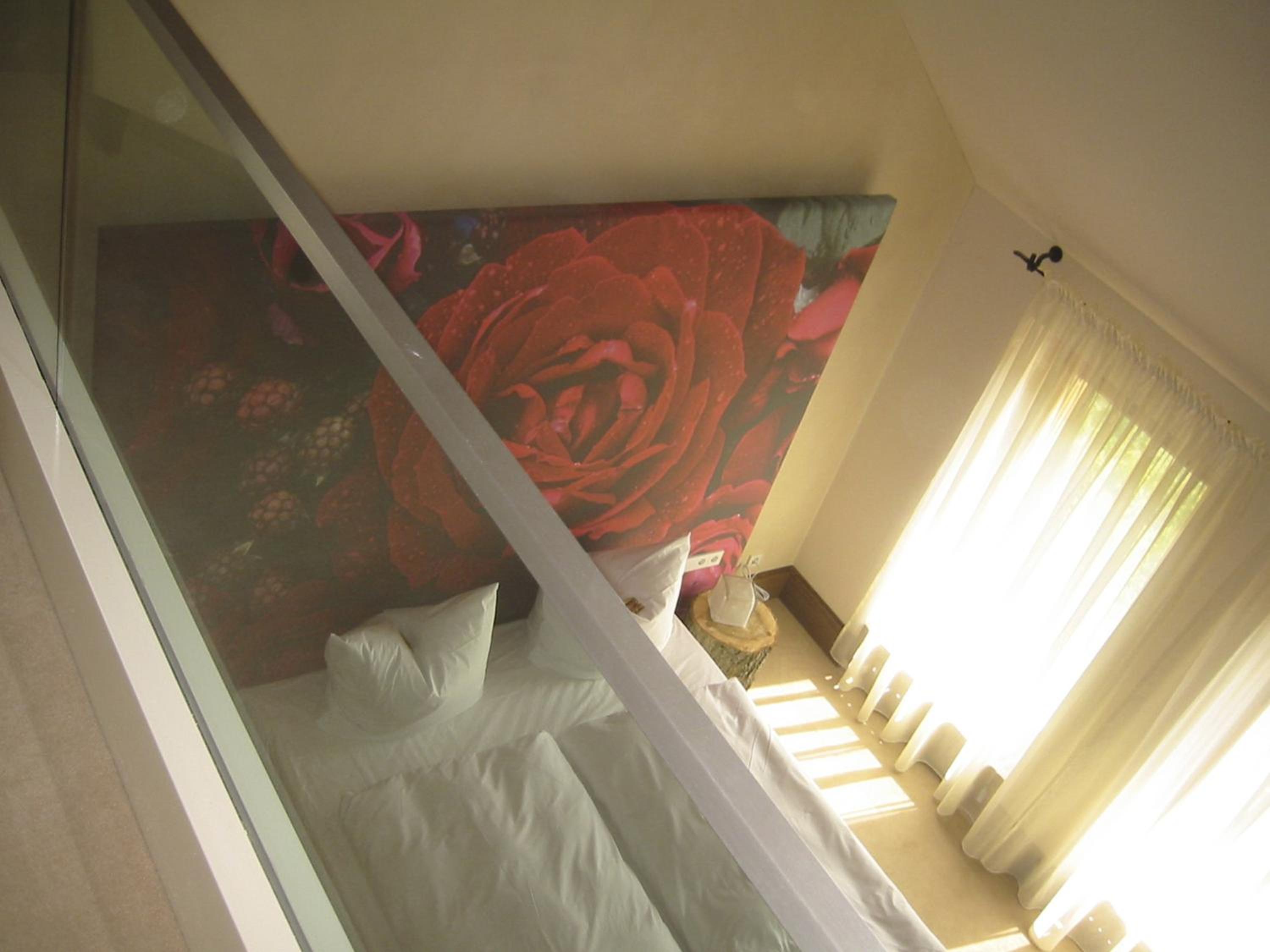 Duplex Suite - Photo 4