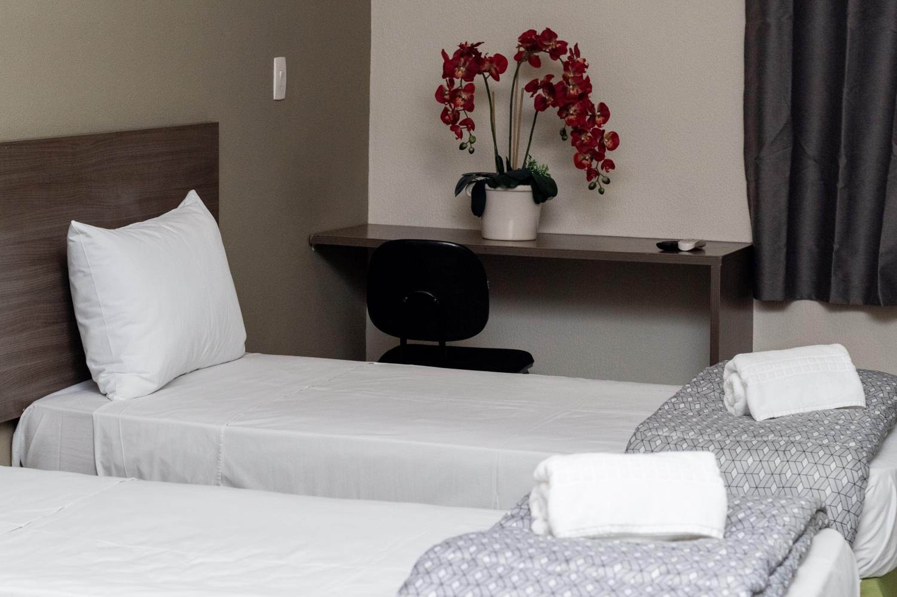 Twin Room photo 3