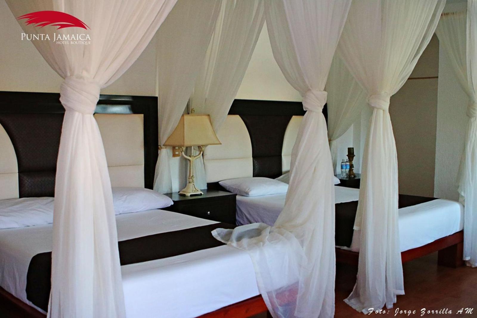 Standard Quadruple Room - Photo 1