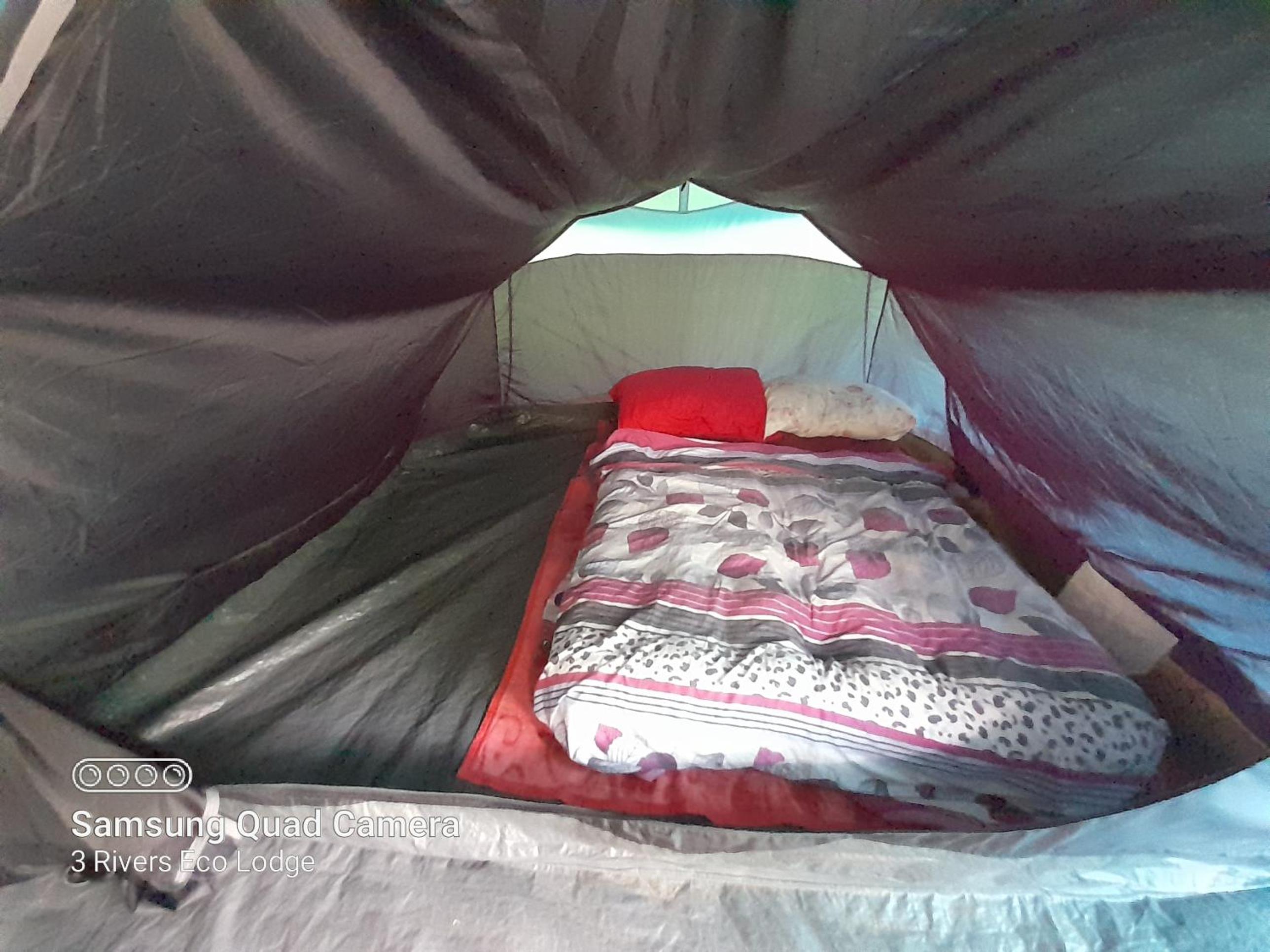 Bed & Sleeping Area