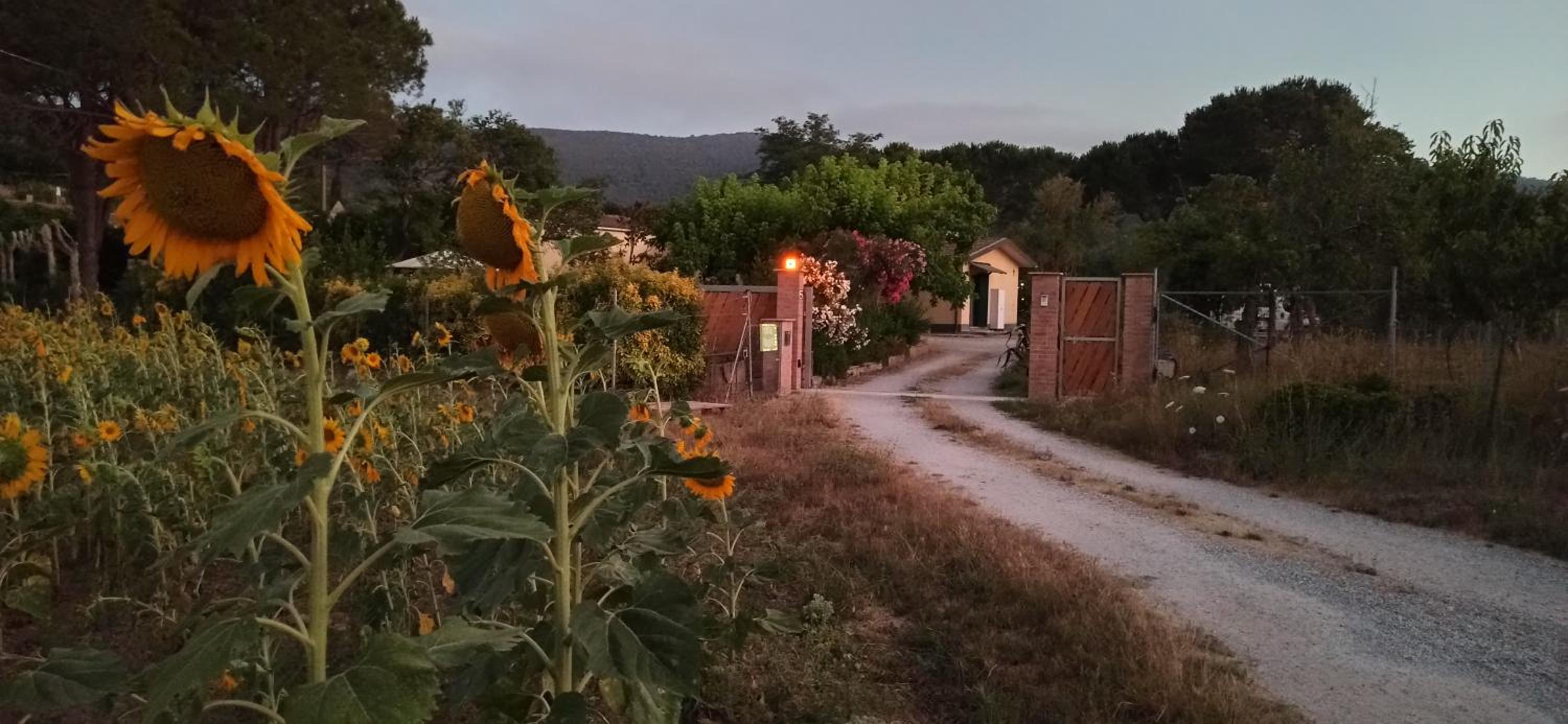 Holiday Home photo 2