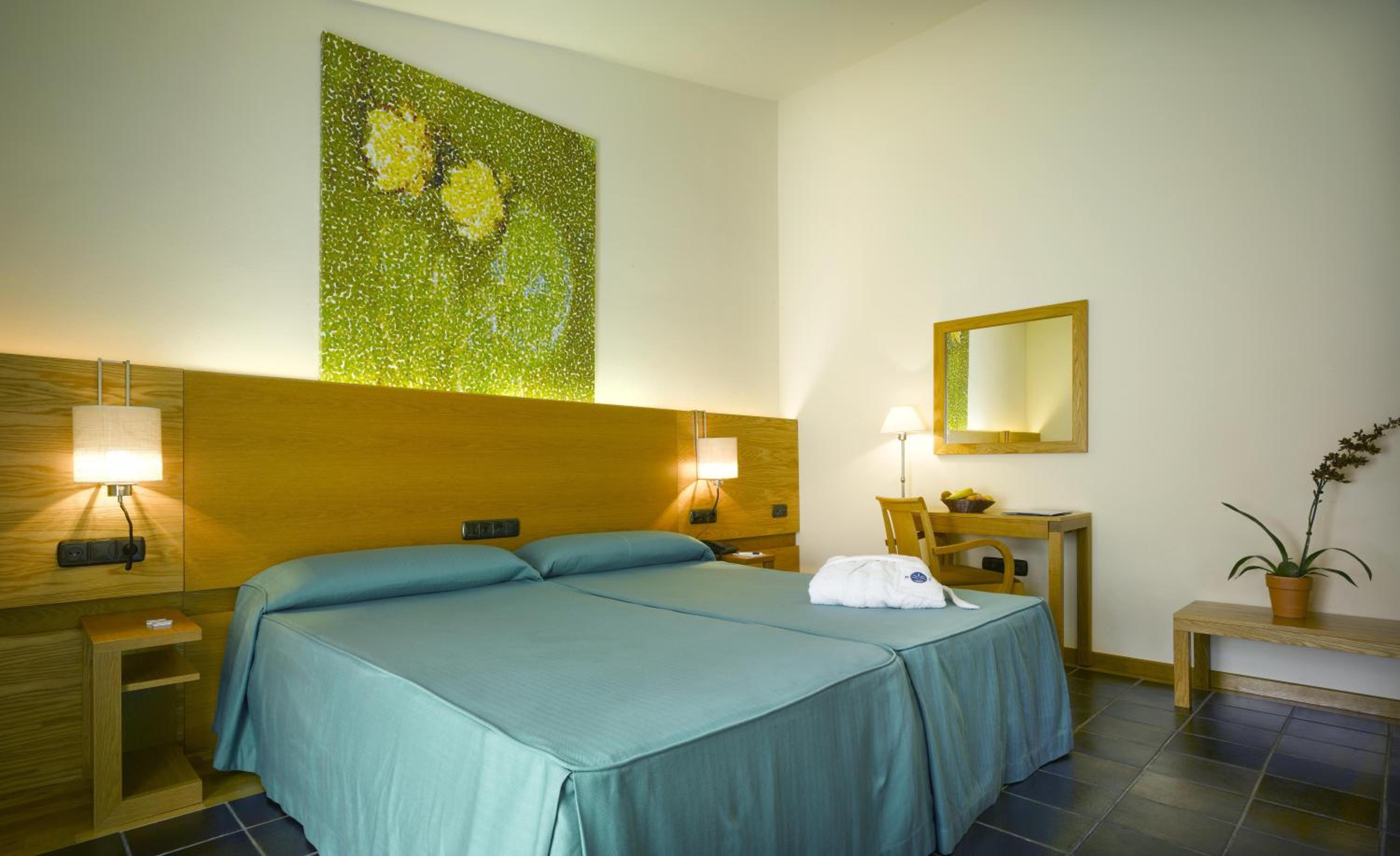 Double or Twin Room with Spa Access photo 2