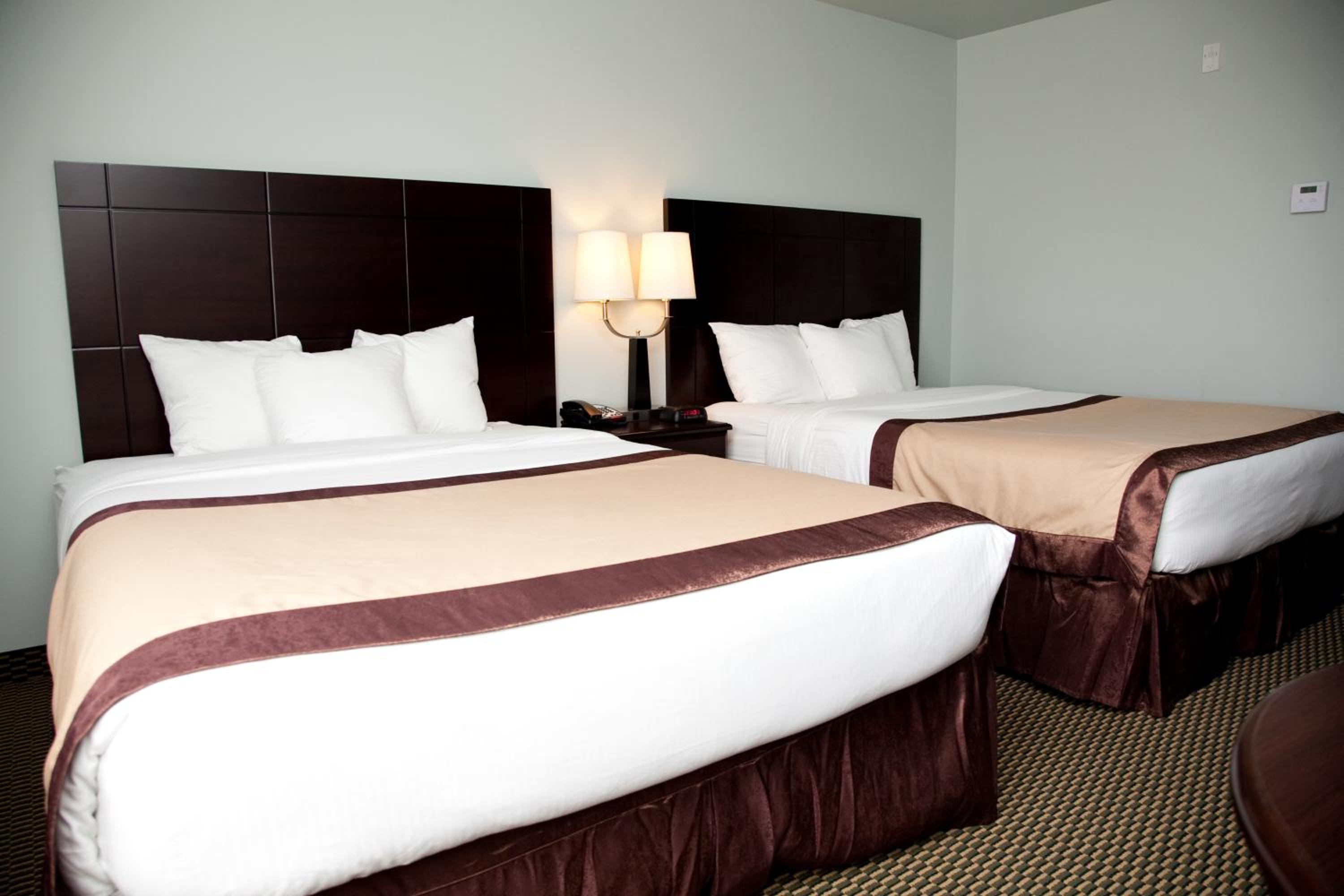Queen Room with Two Queen Beds and Roll-in Shower - Mobility Accessible/Non-Smoking photo 3
