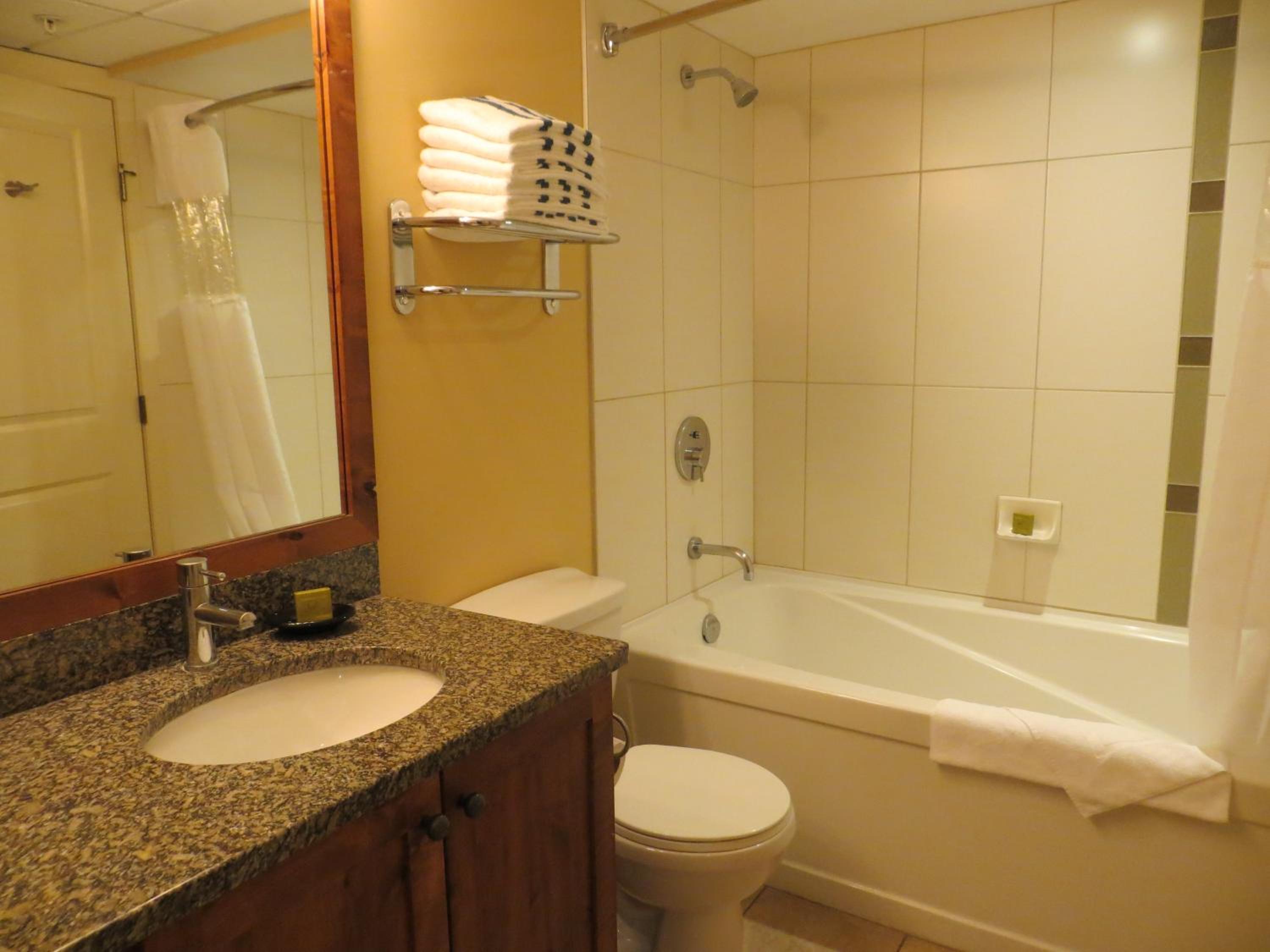 Studio Suite with Mountain View - Photo 2
