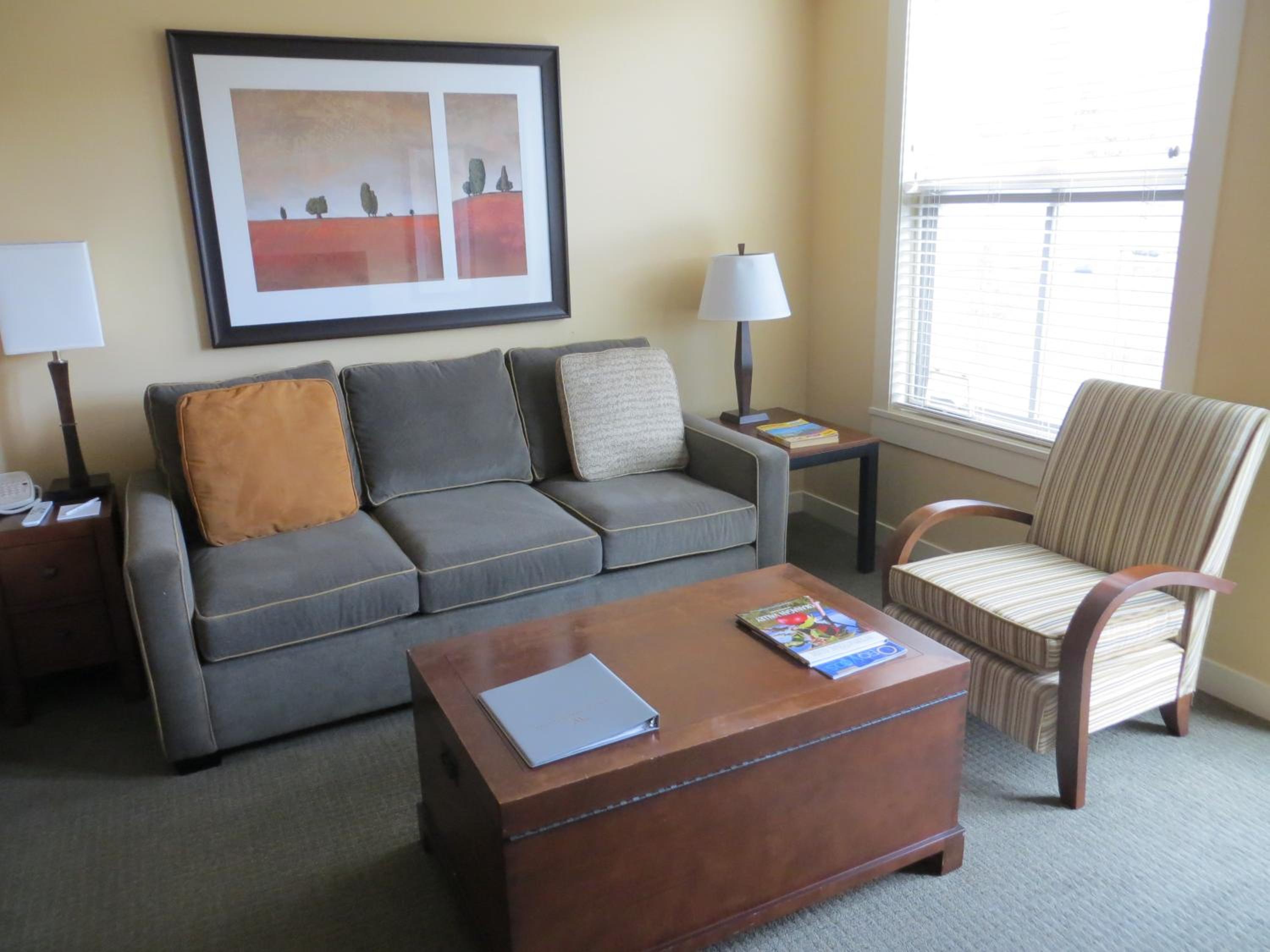Studio Suite with Mountain View - Photo 3