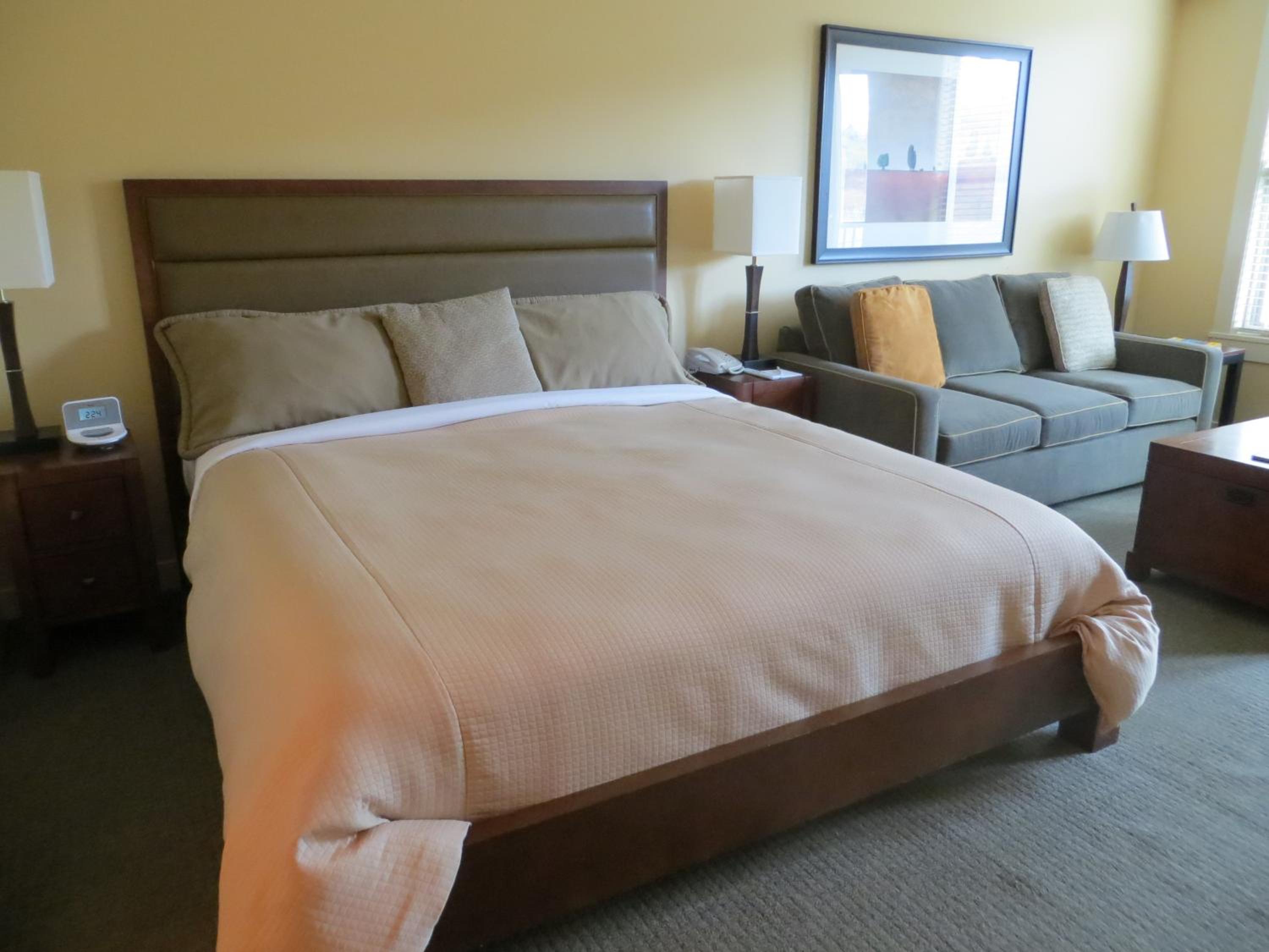 Studio Suite with Mountain View - Photo 7
