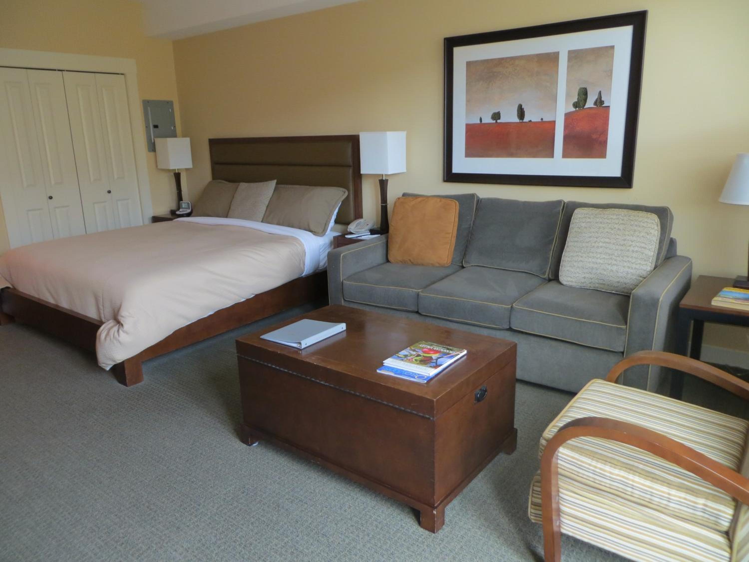 Studio Suite with Mountain View - Photo 4