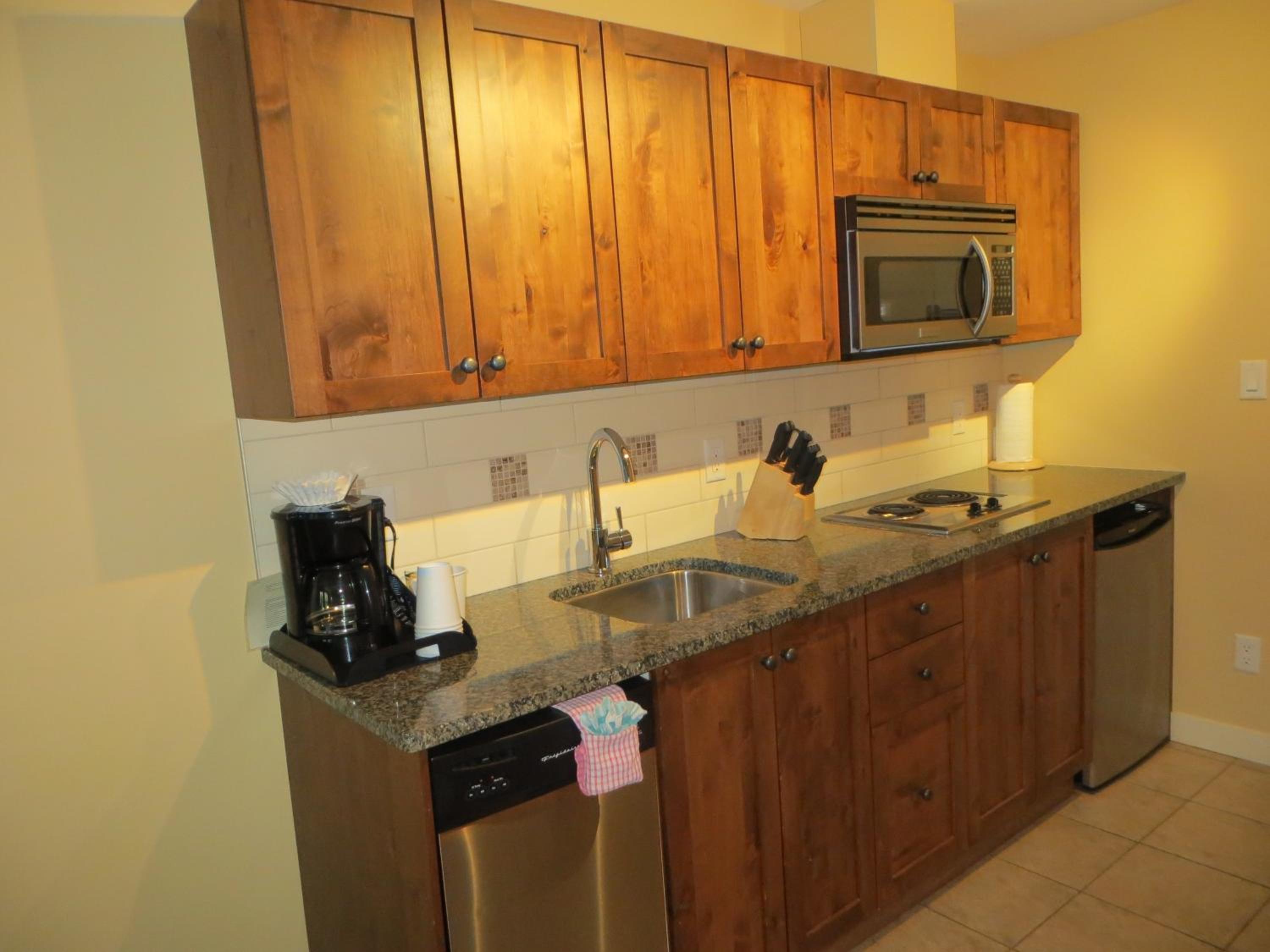 Studio Suite with Mountain View - Photo 5