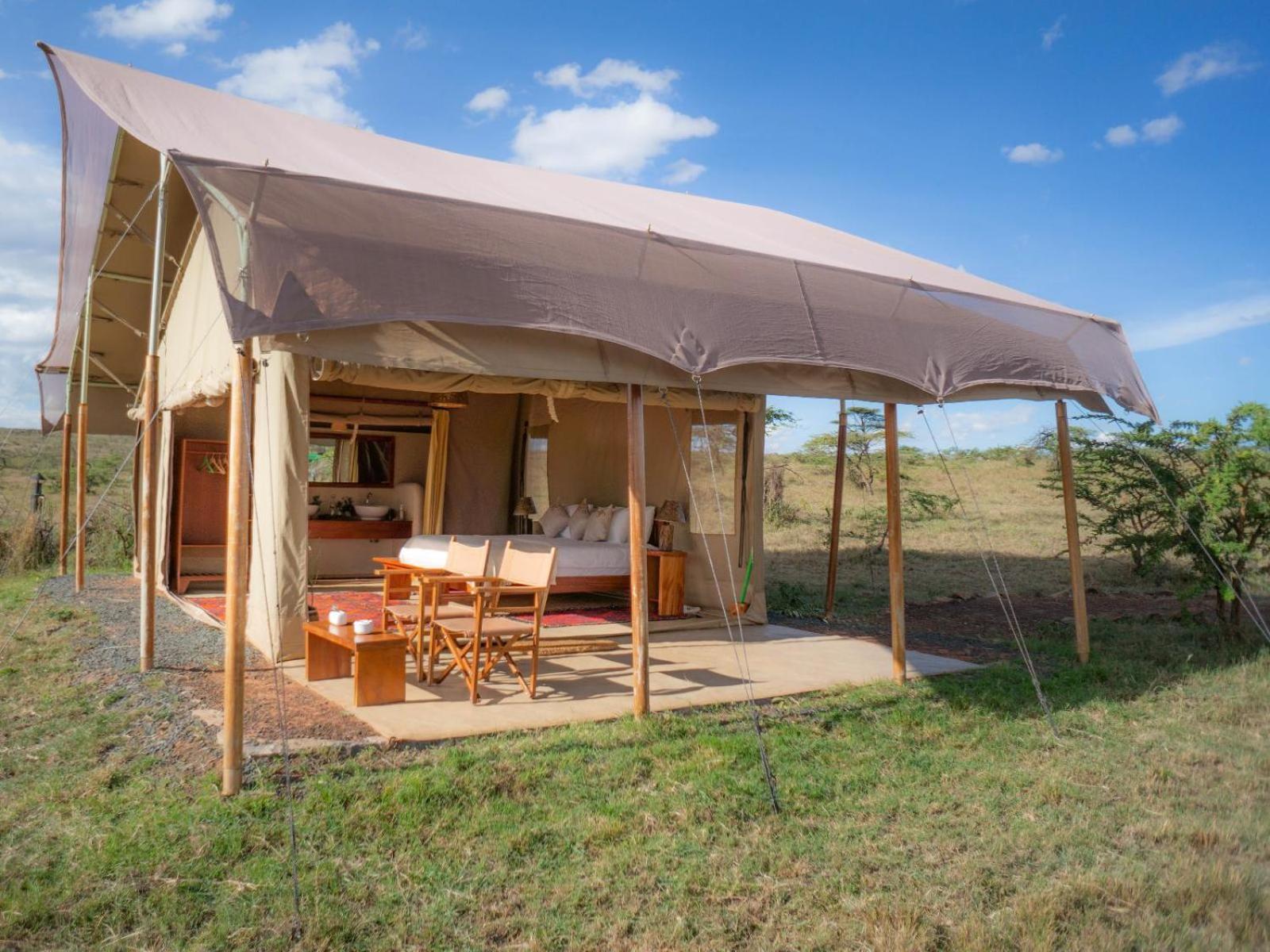 Superior Tent - Photo 4