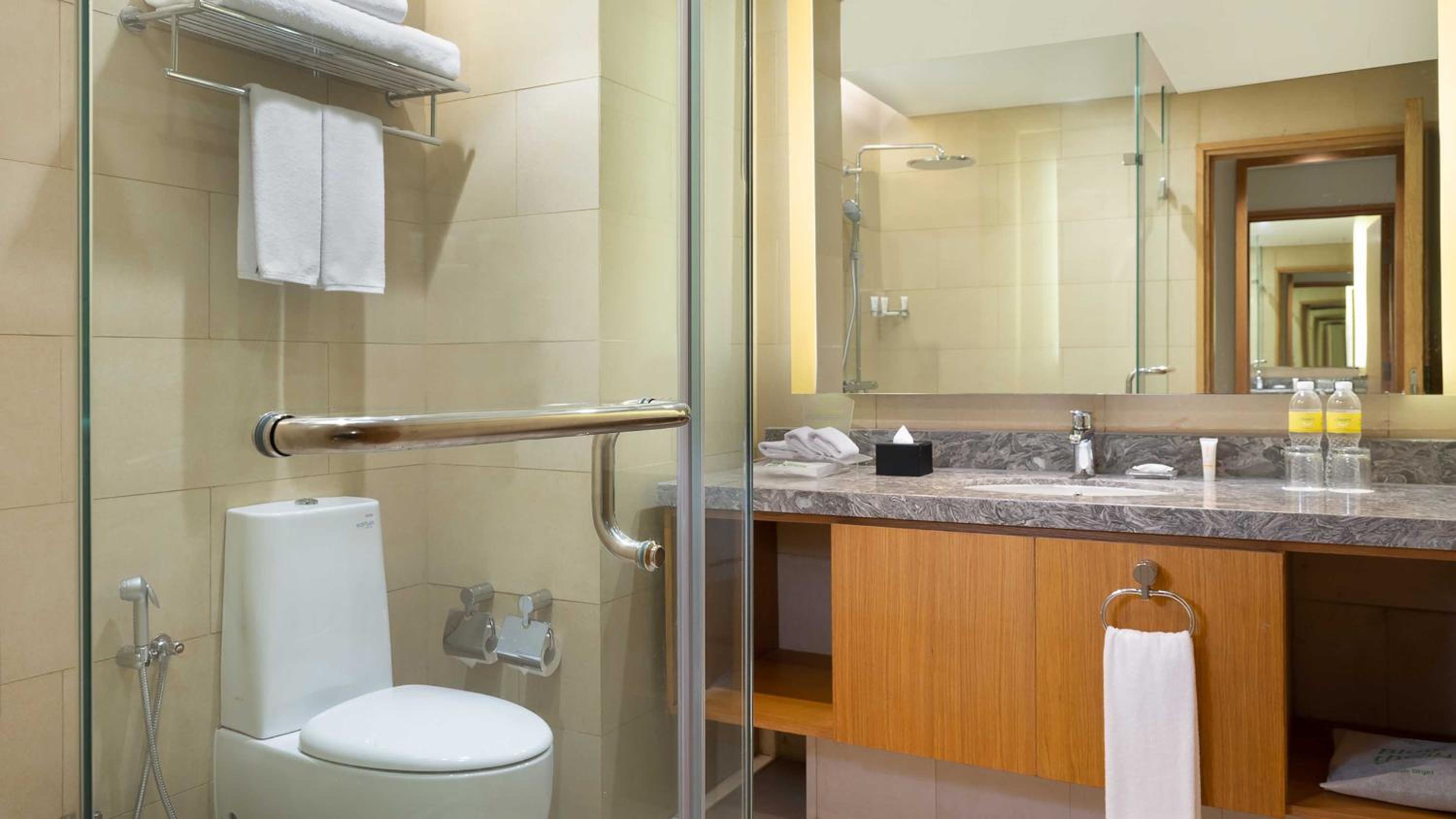 One-Bedroom Suite with City View