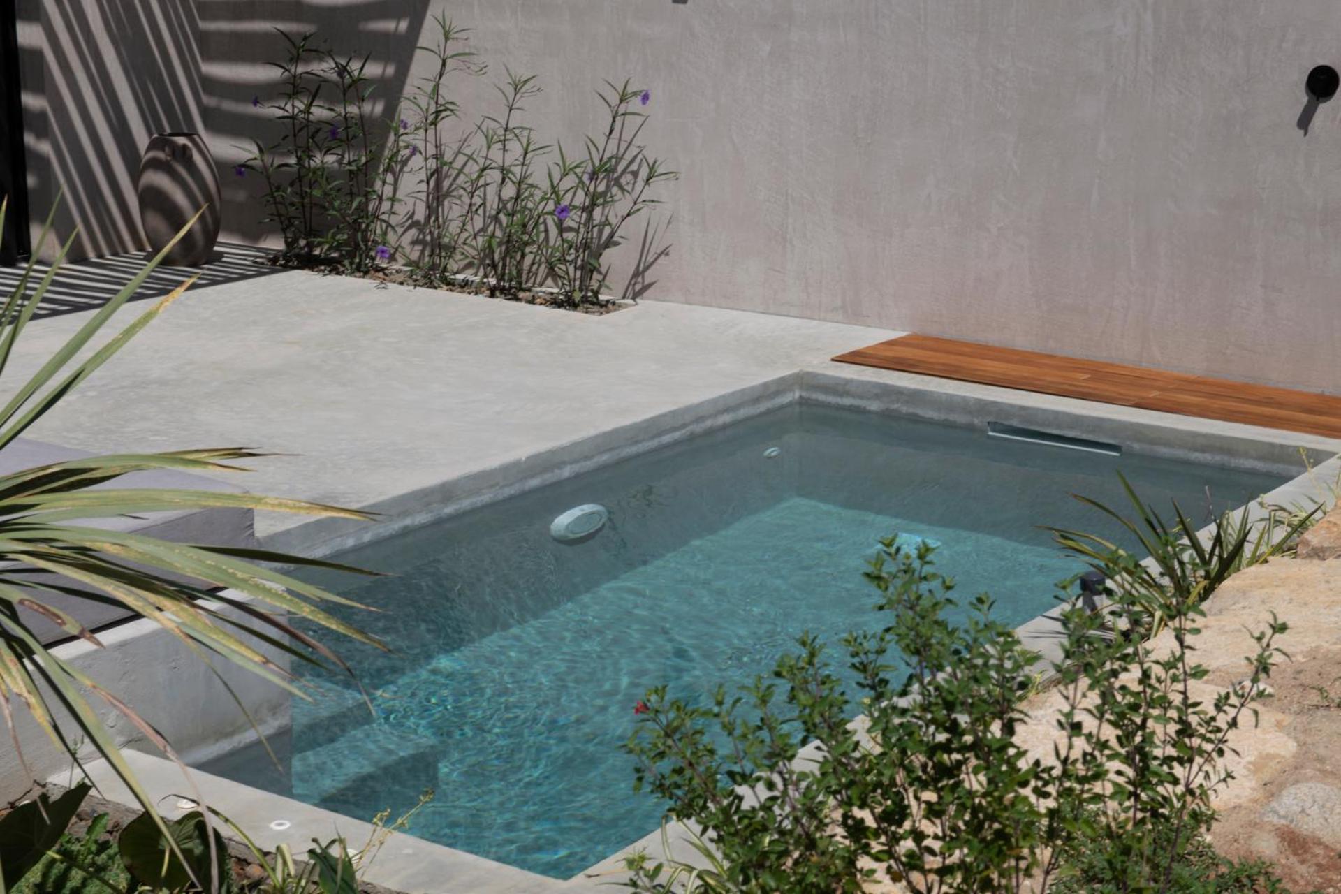Suite with Private Pool - Photo 11