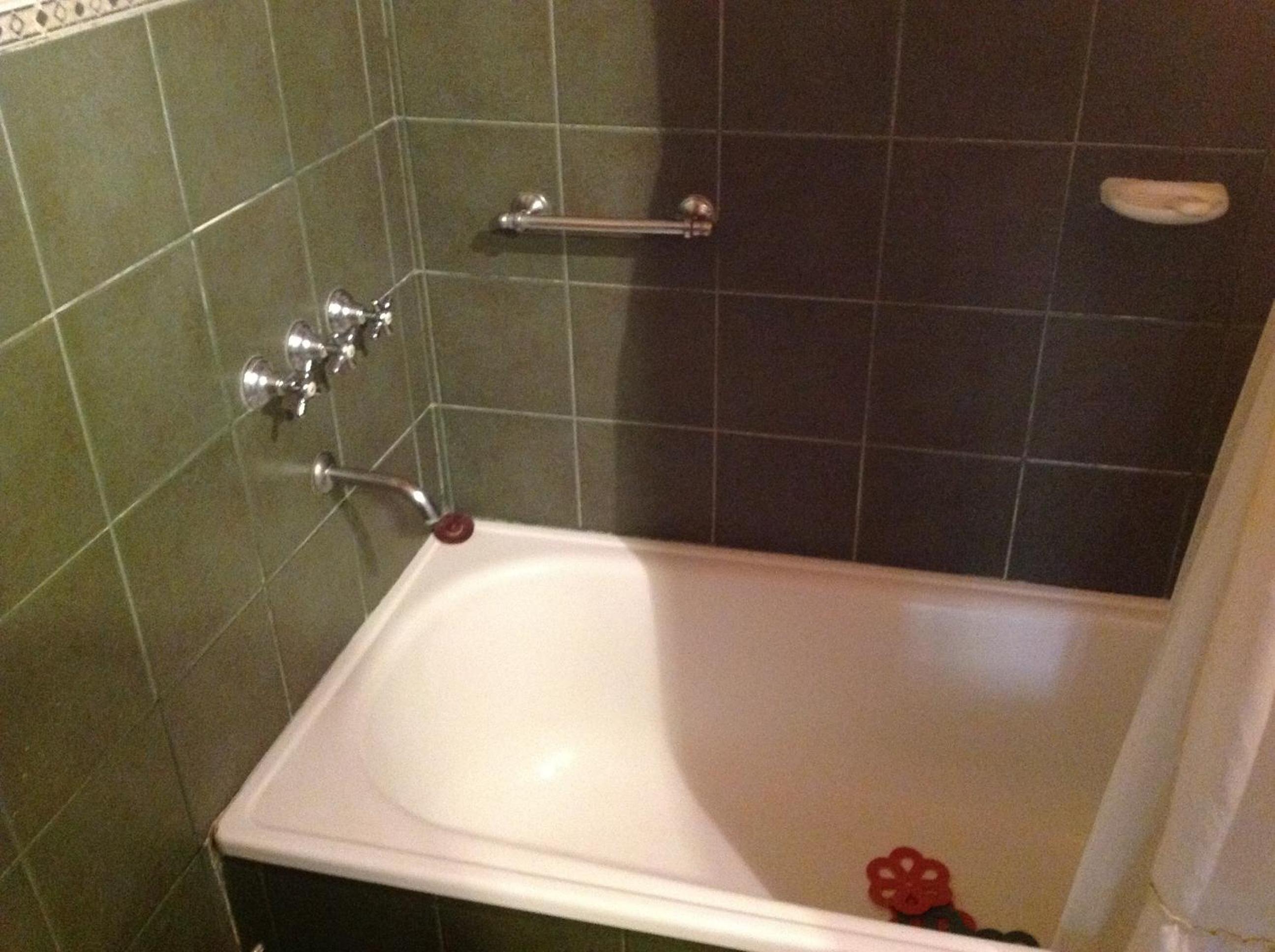 Duplex Apartment photo 3