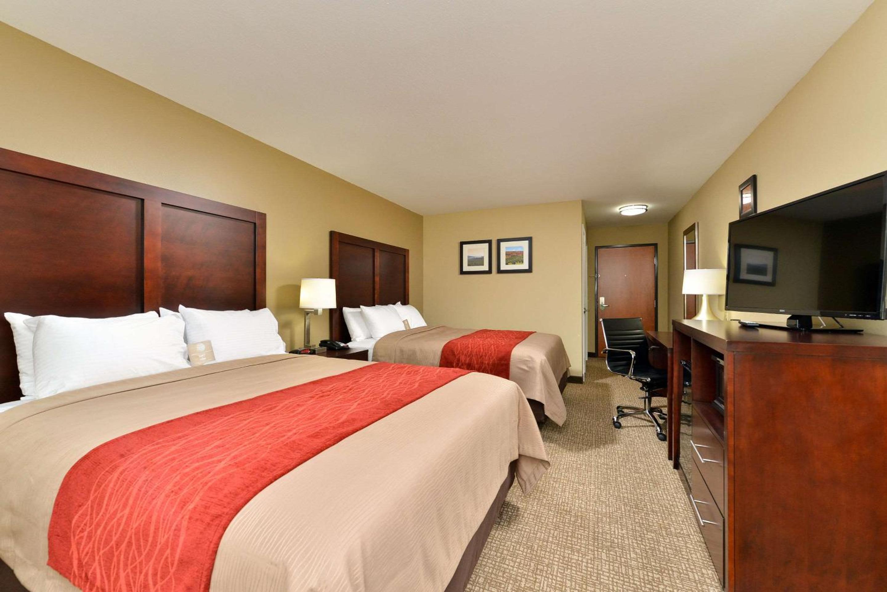 One-Bedroom Queen Suite With Sofa Bed photo 1