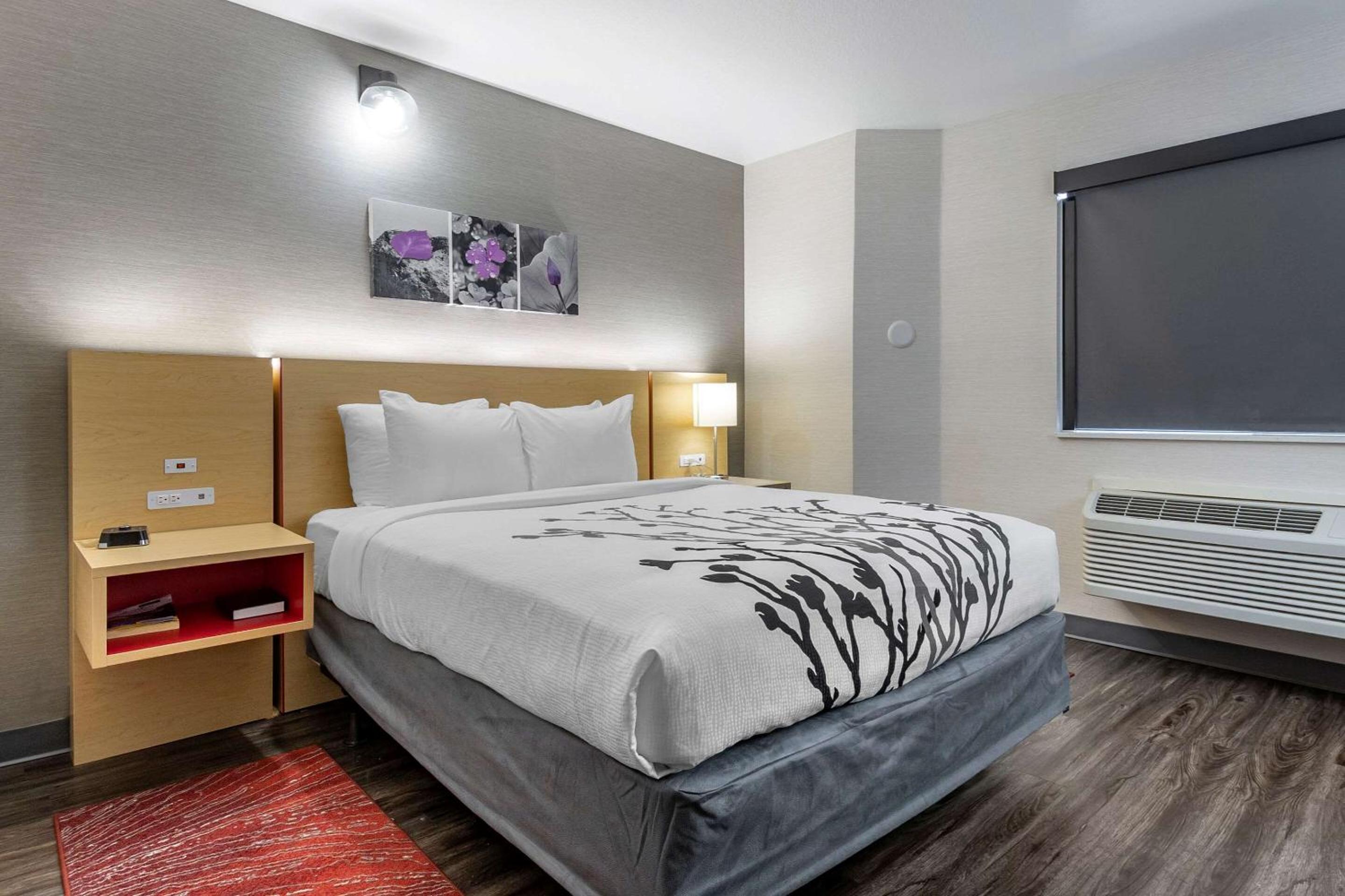 Queen Room - Accessible/Non Smoking photo 2