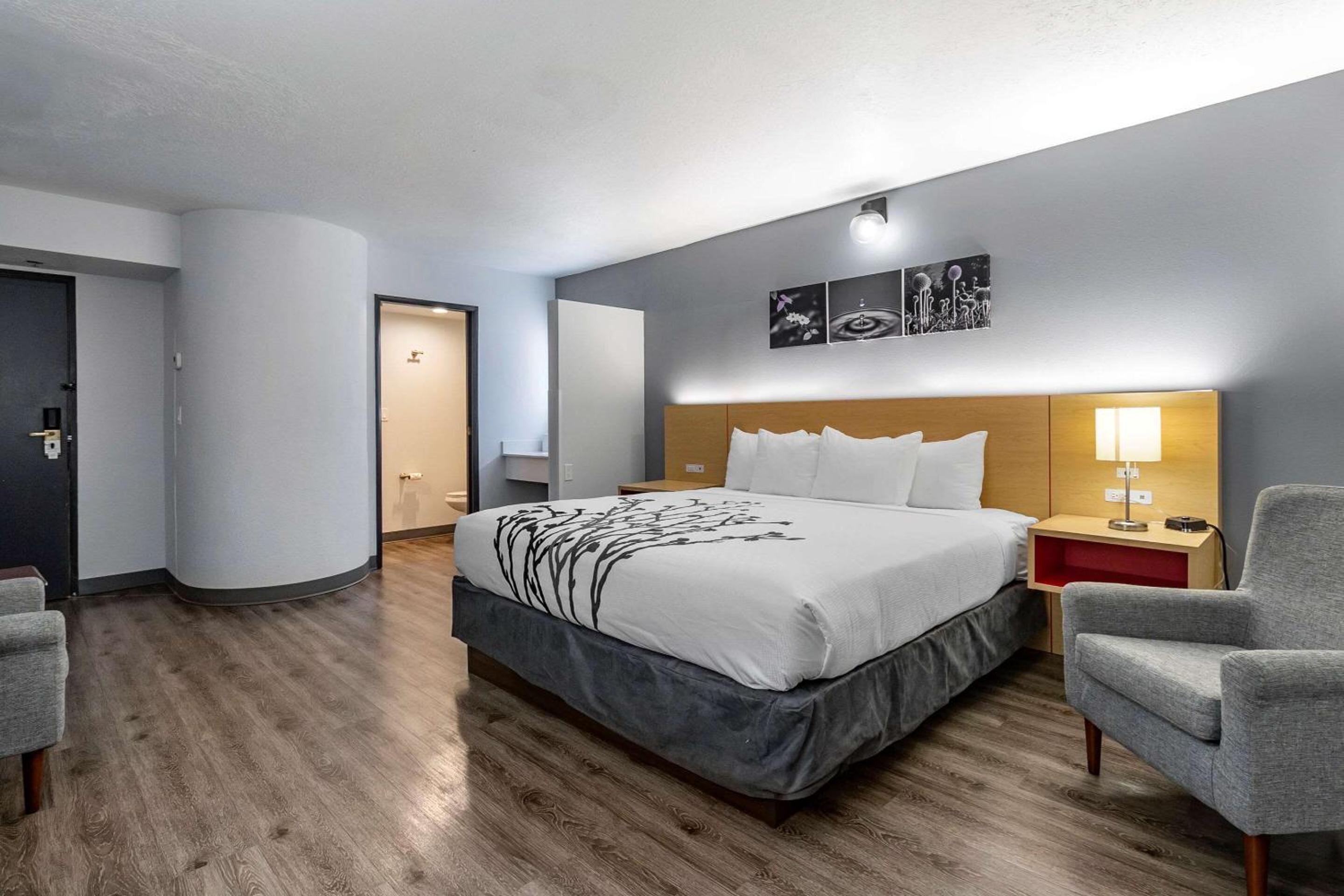 Superior King Room photo 3