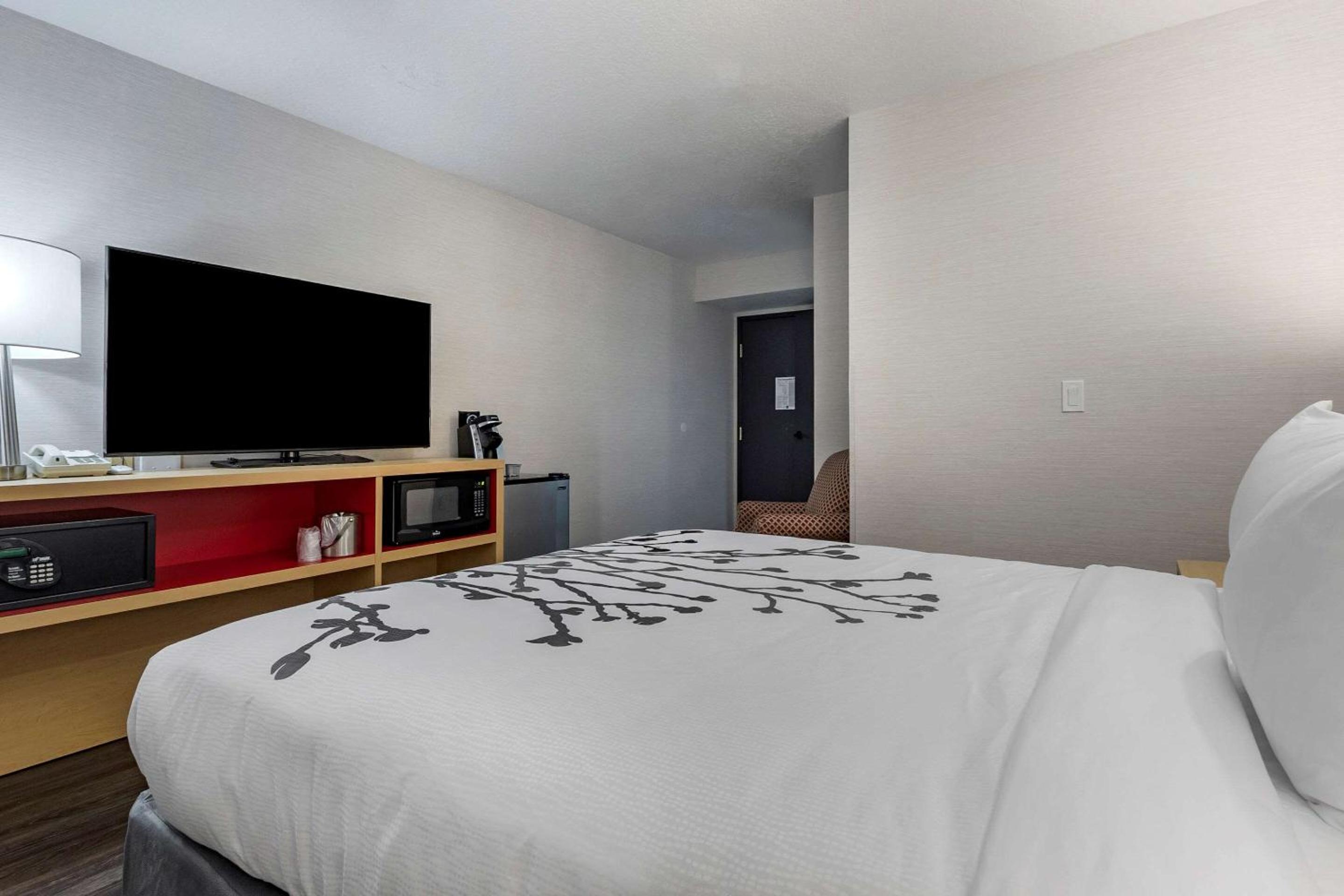 Superior King Room photo 2
