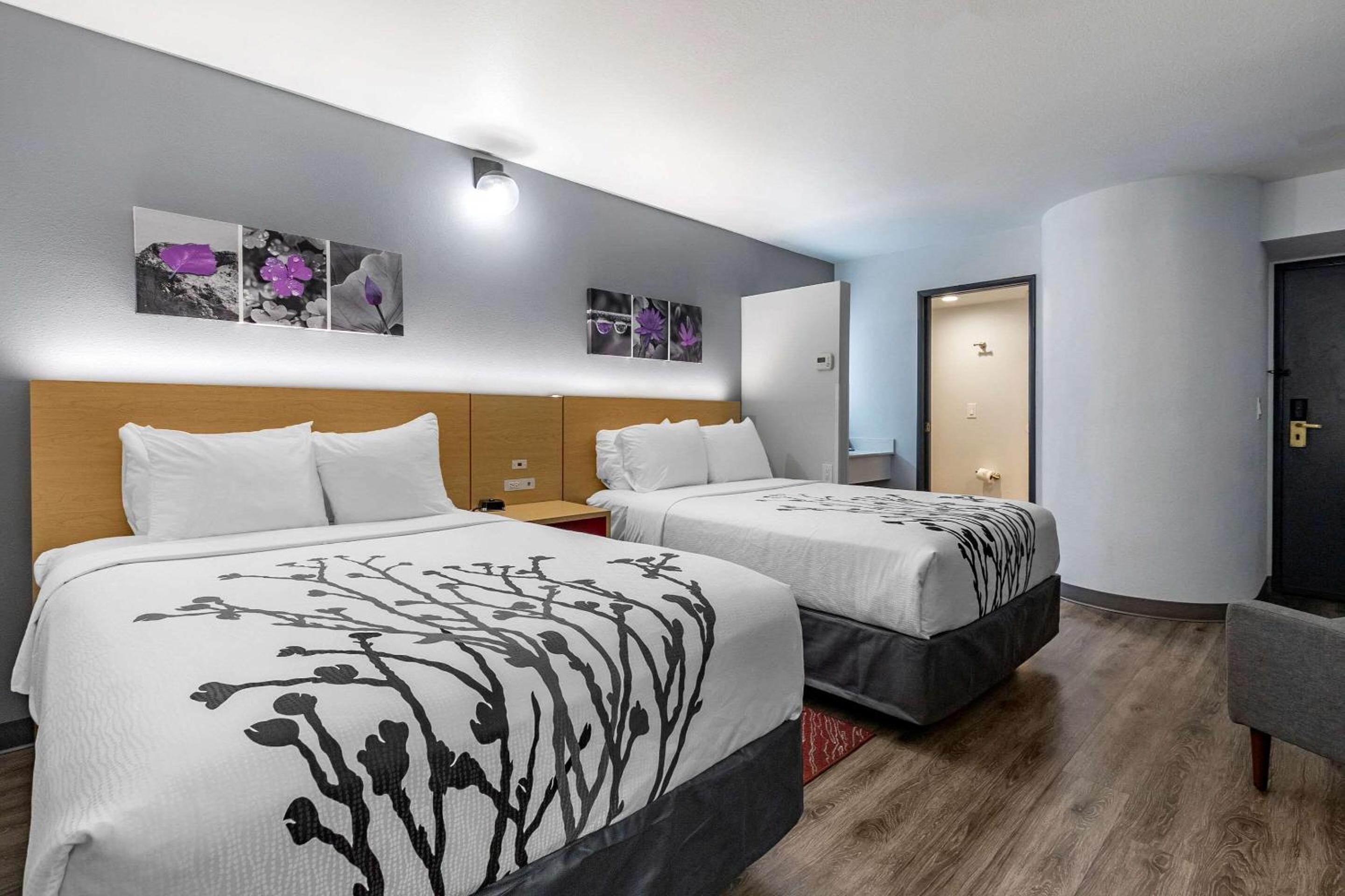 Superior Double Room with Two Double Beds photo 3