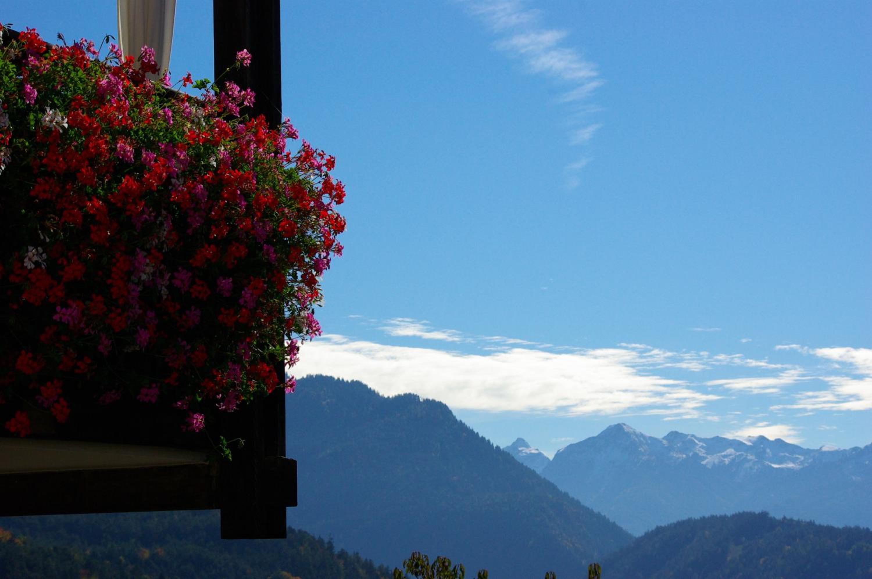 Double Room with Balcony - Photo 4